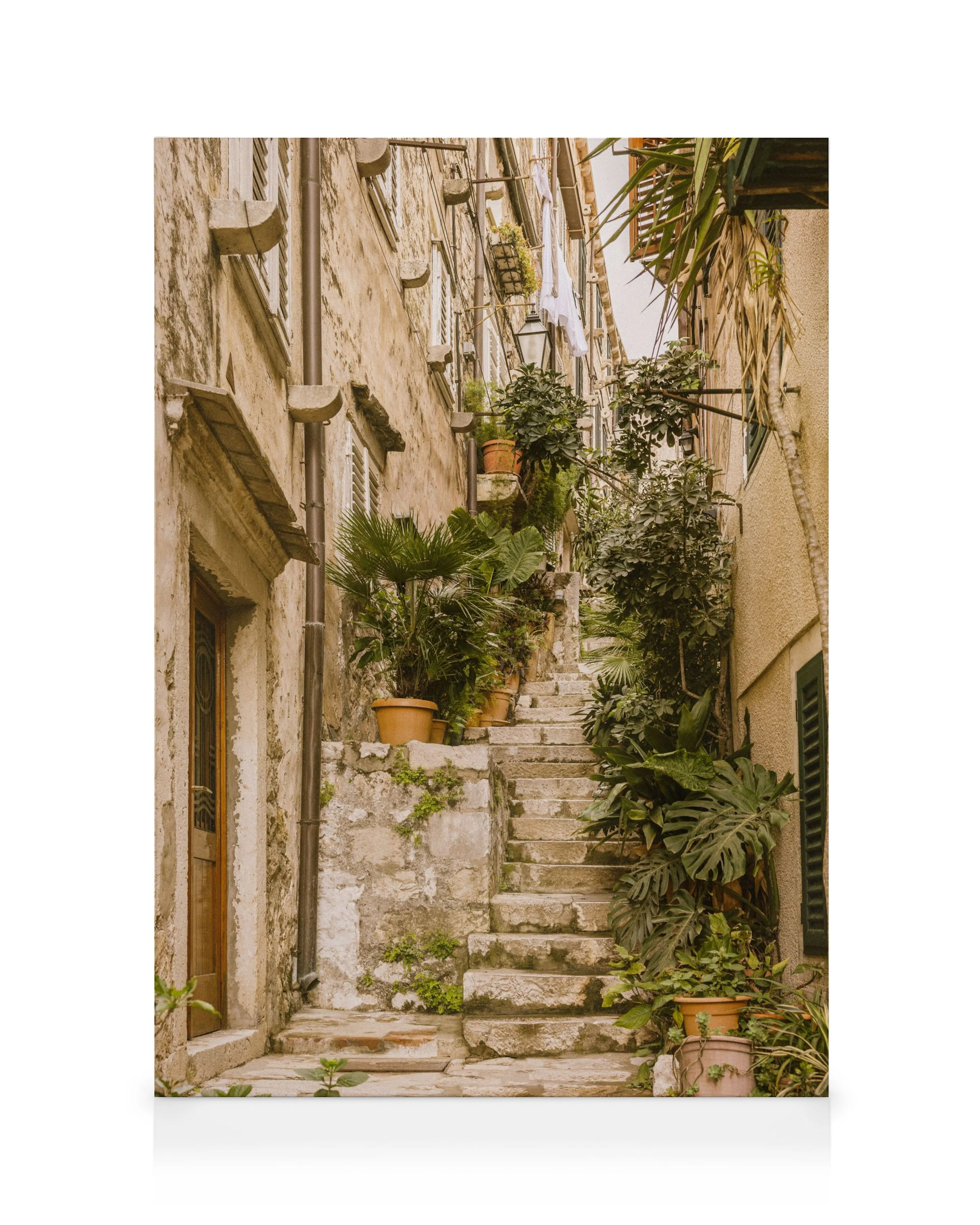The Old Alley Canvas print 0
