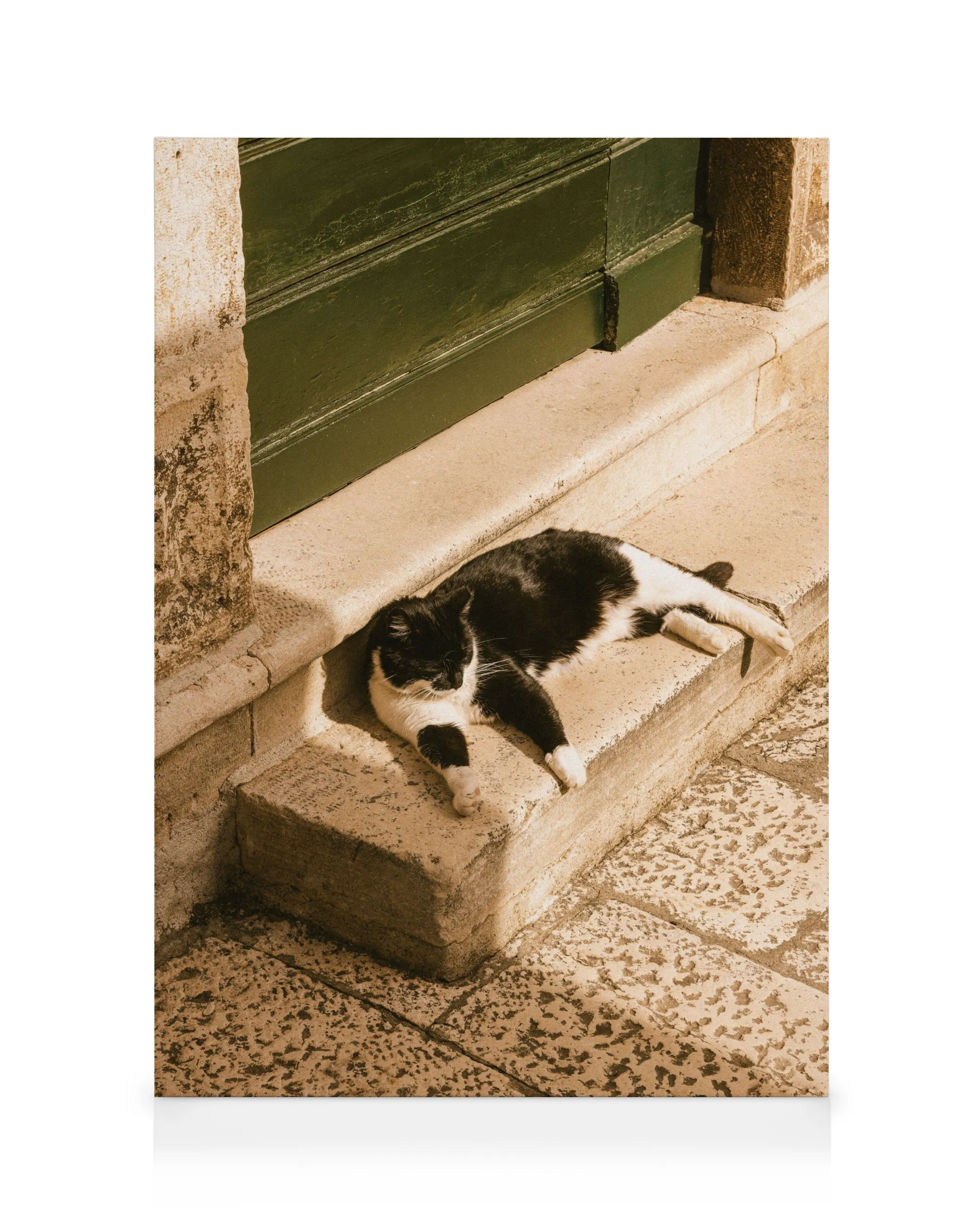 Slow Summer Canvas print 0