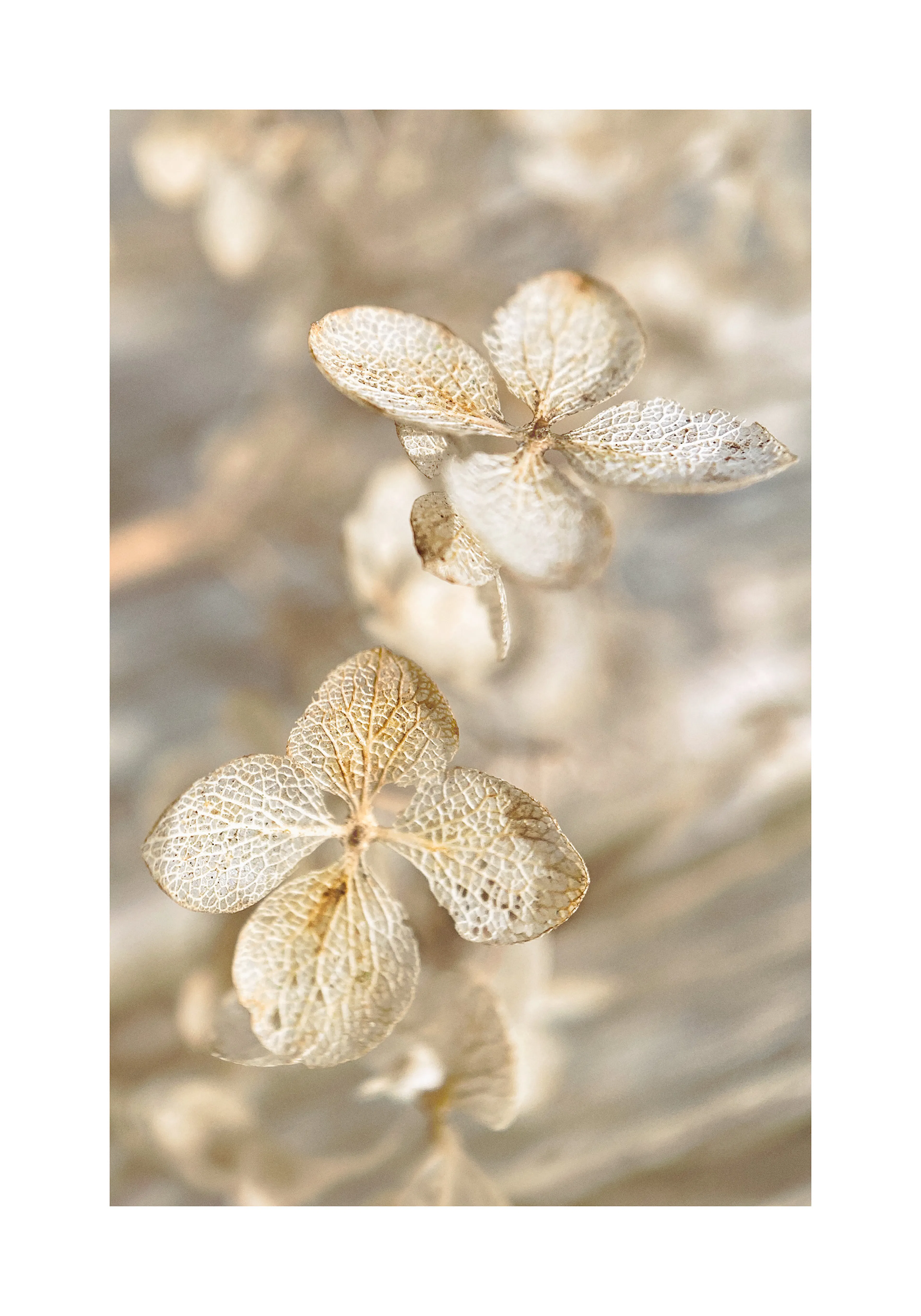 Product image: 1