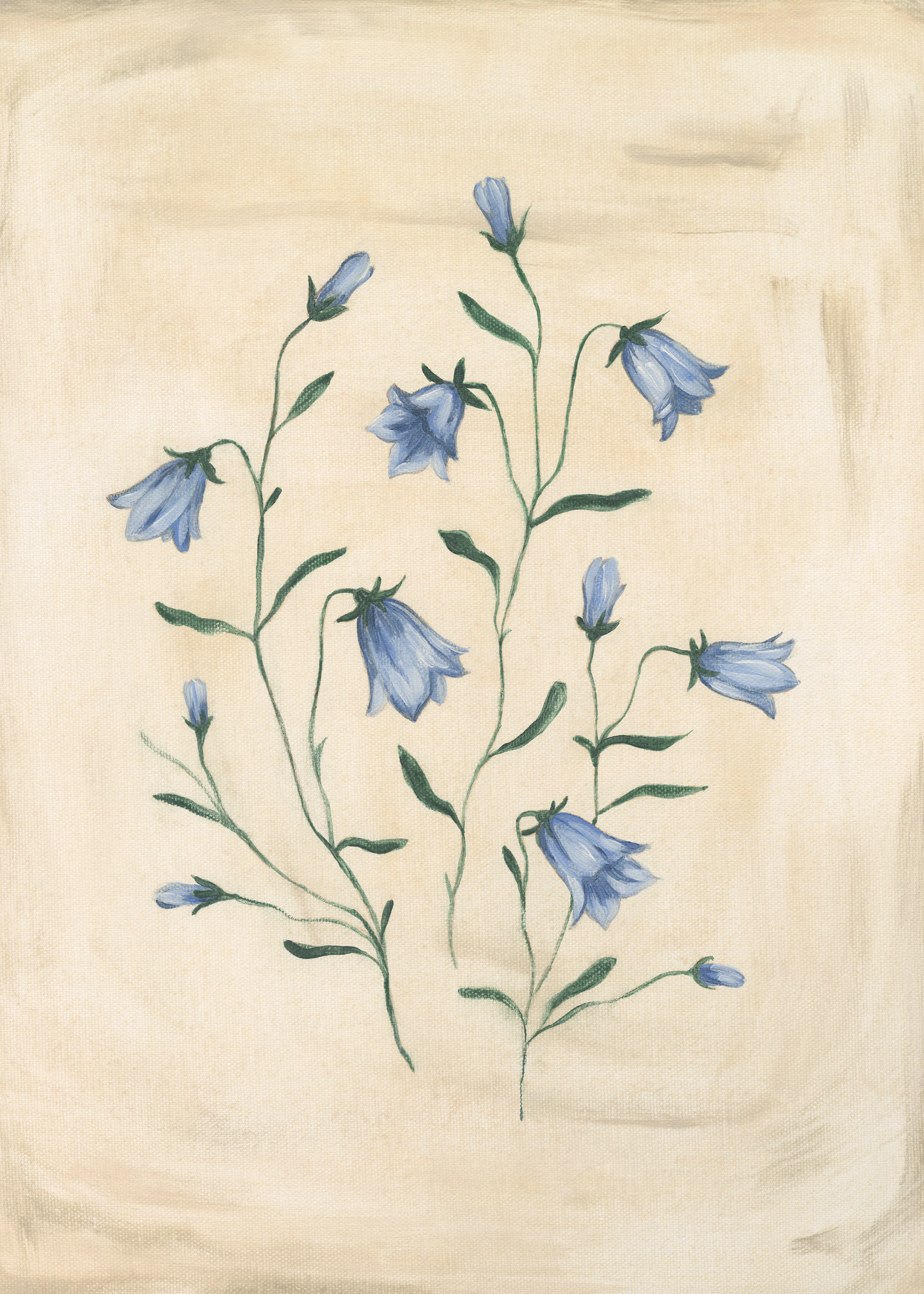 Bluebell Study Print 0