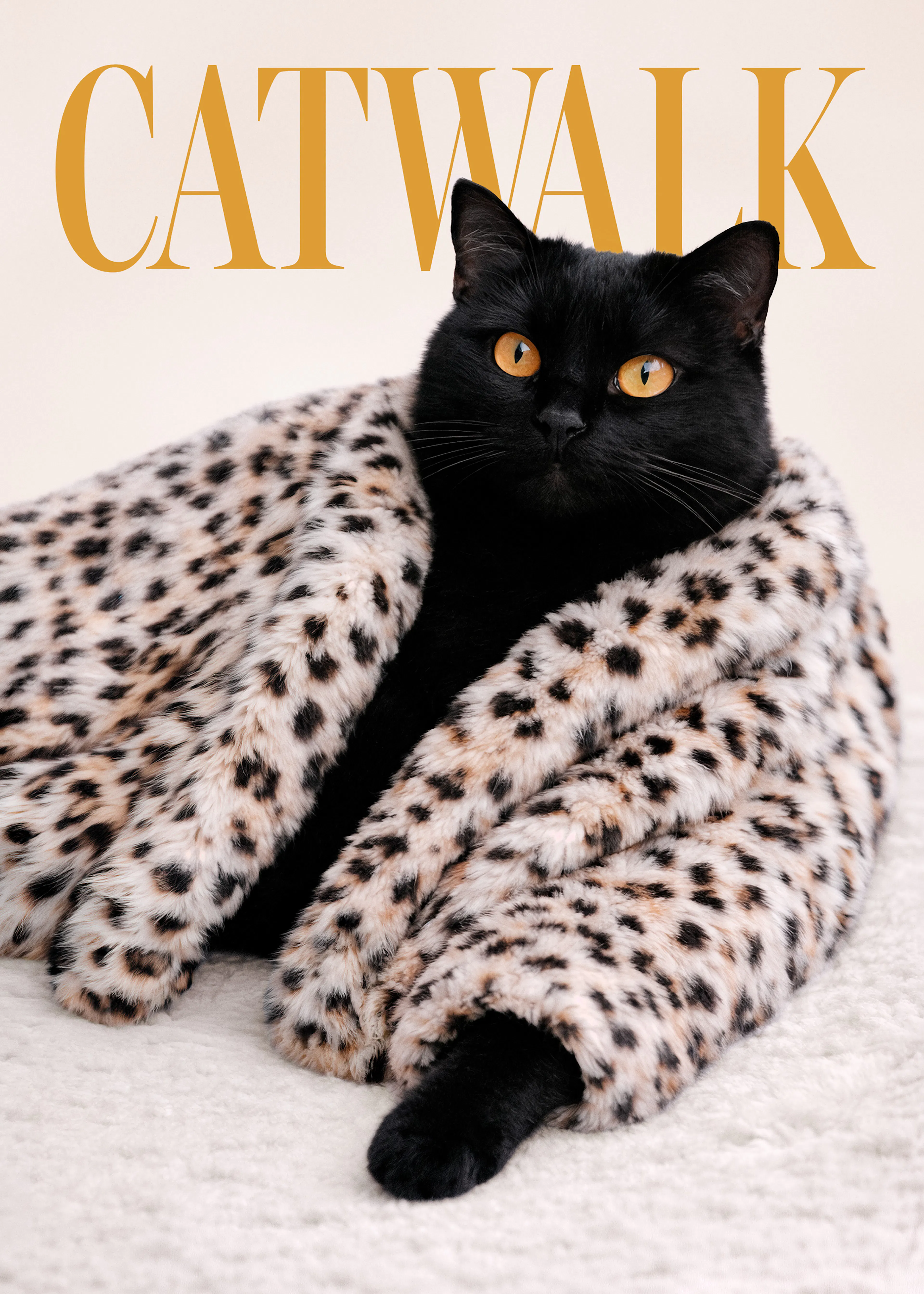 Catwalk No2 Print 0