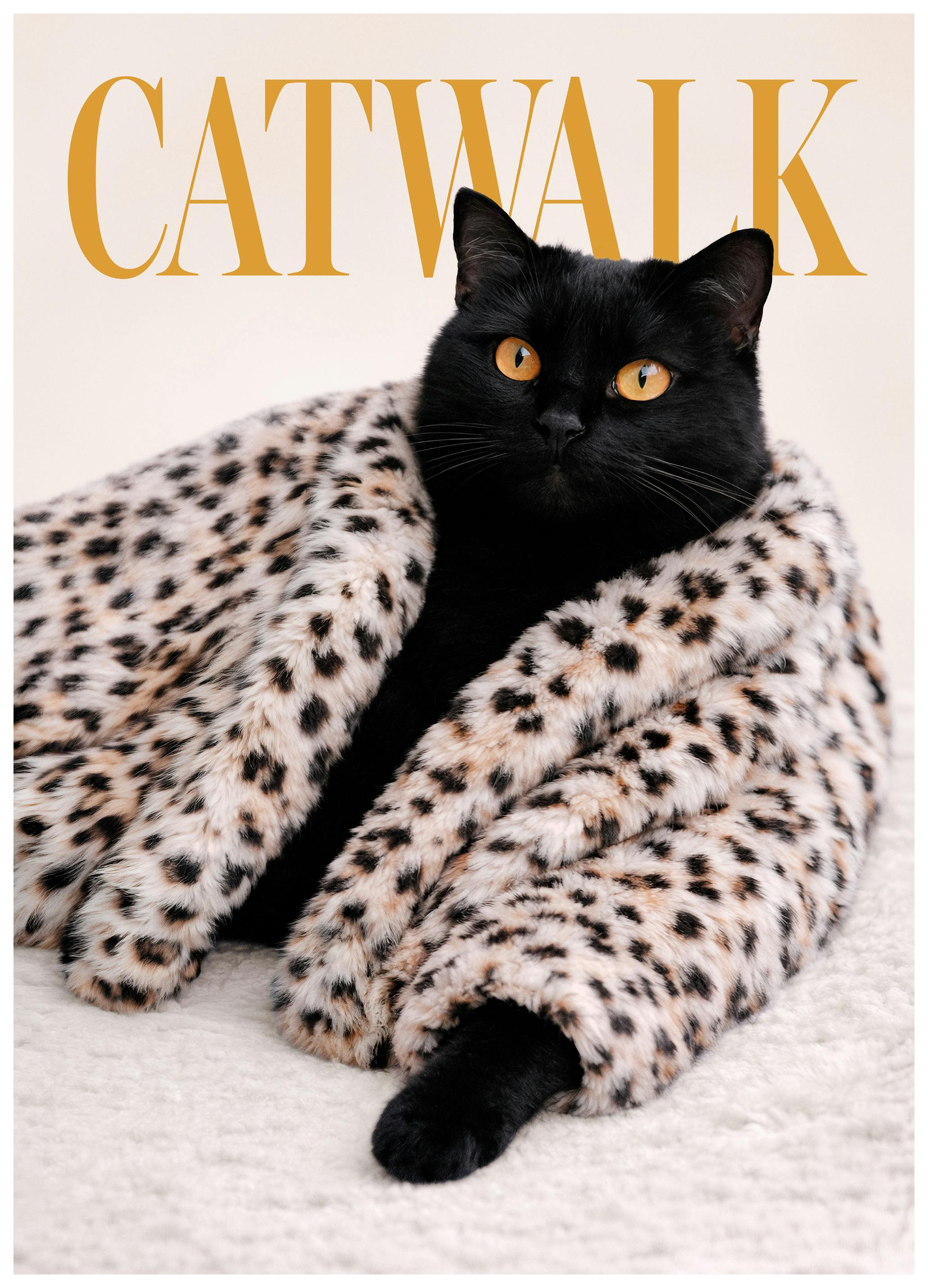 Catwalk No2 Poster (70x100 cm)