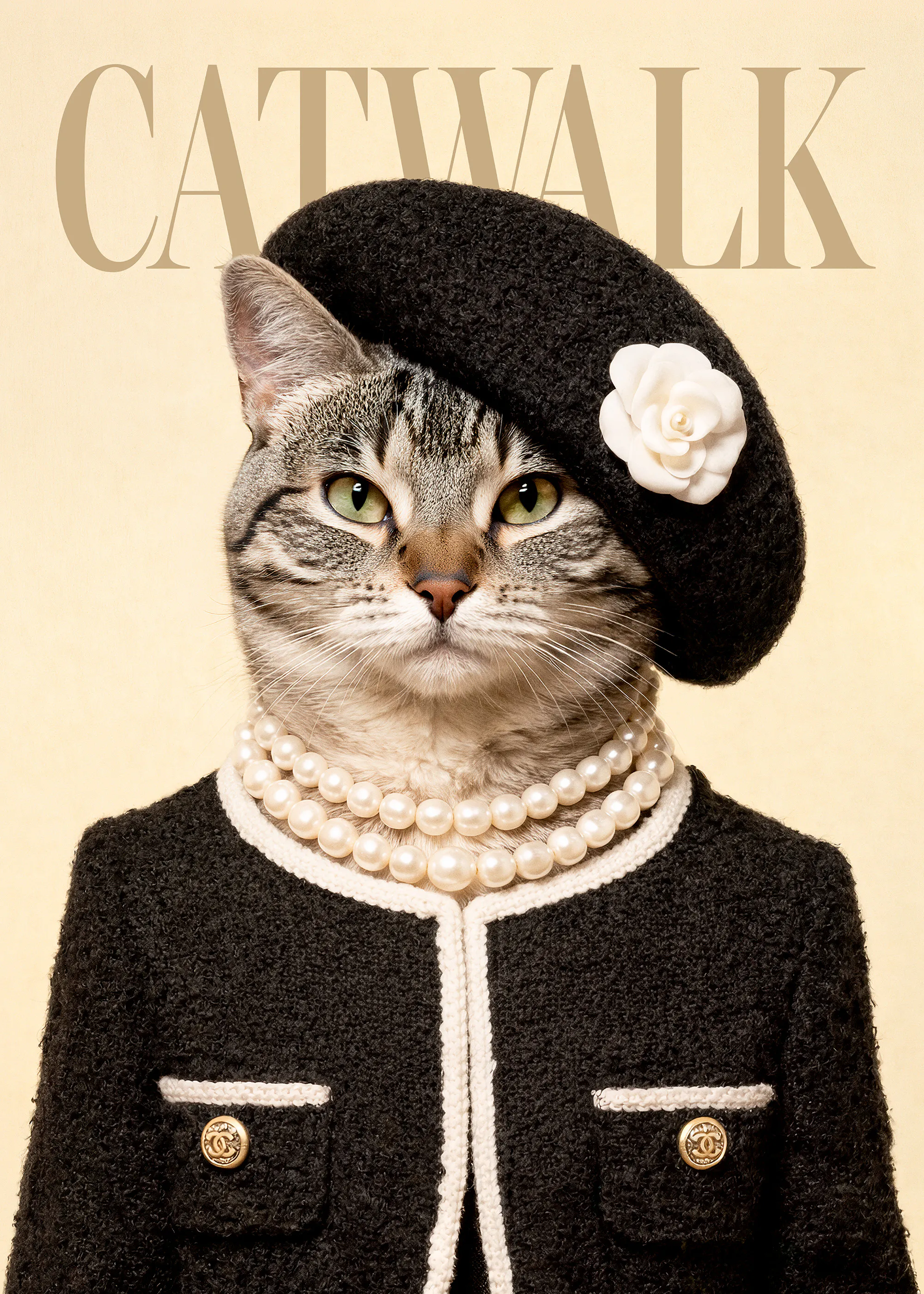Catwalk No3 Print 0