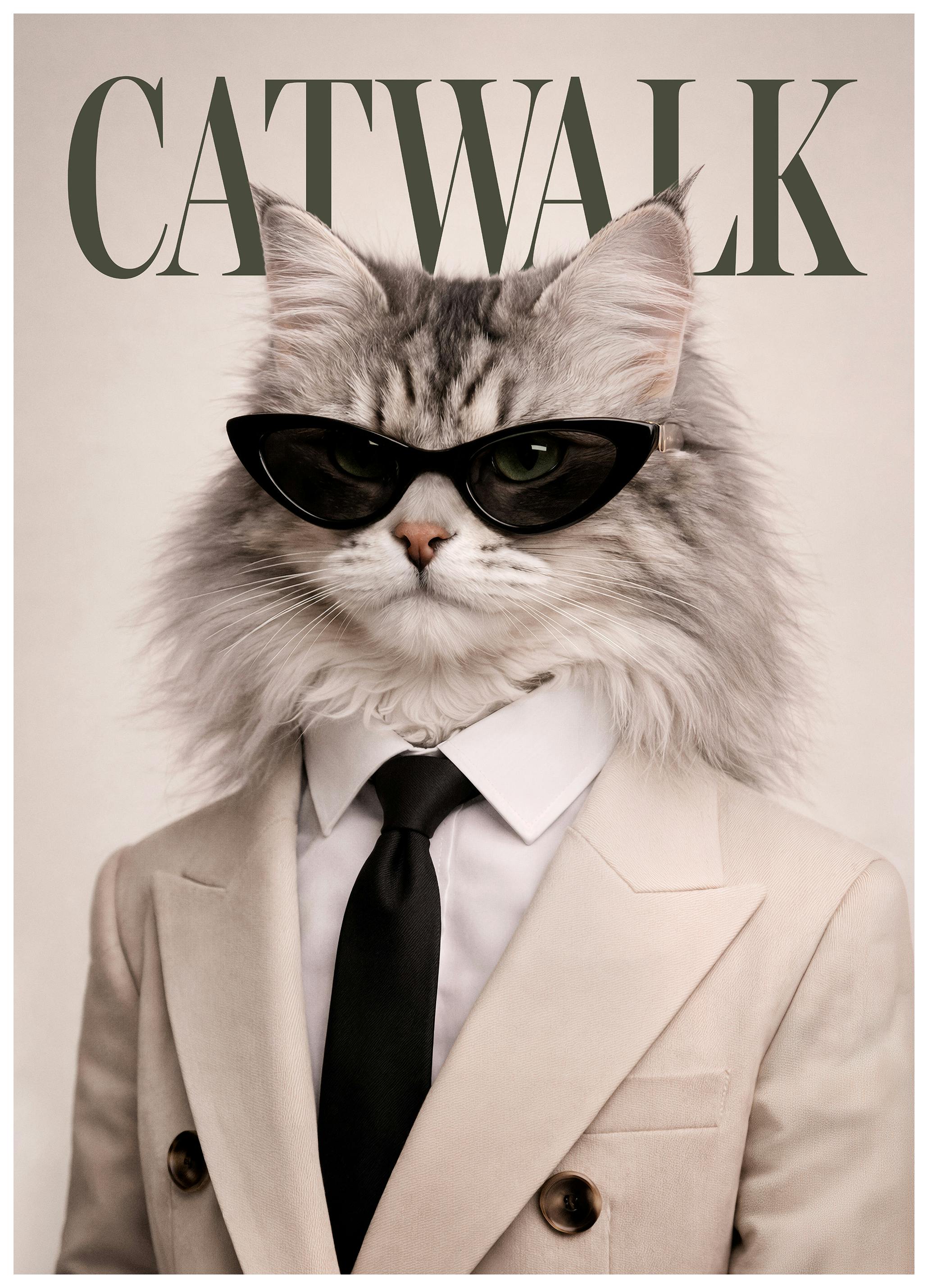 Catwalk No4 Poster (30x40 cm)
