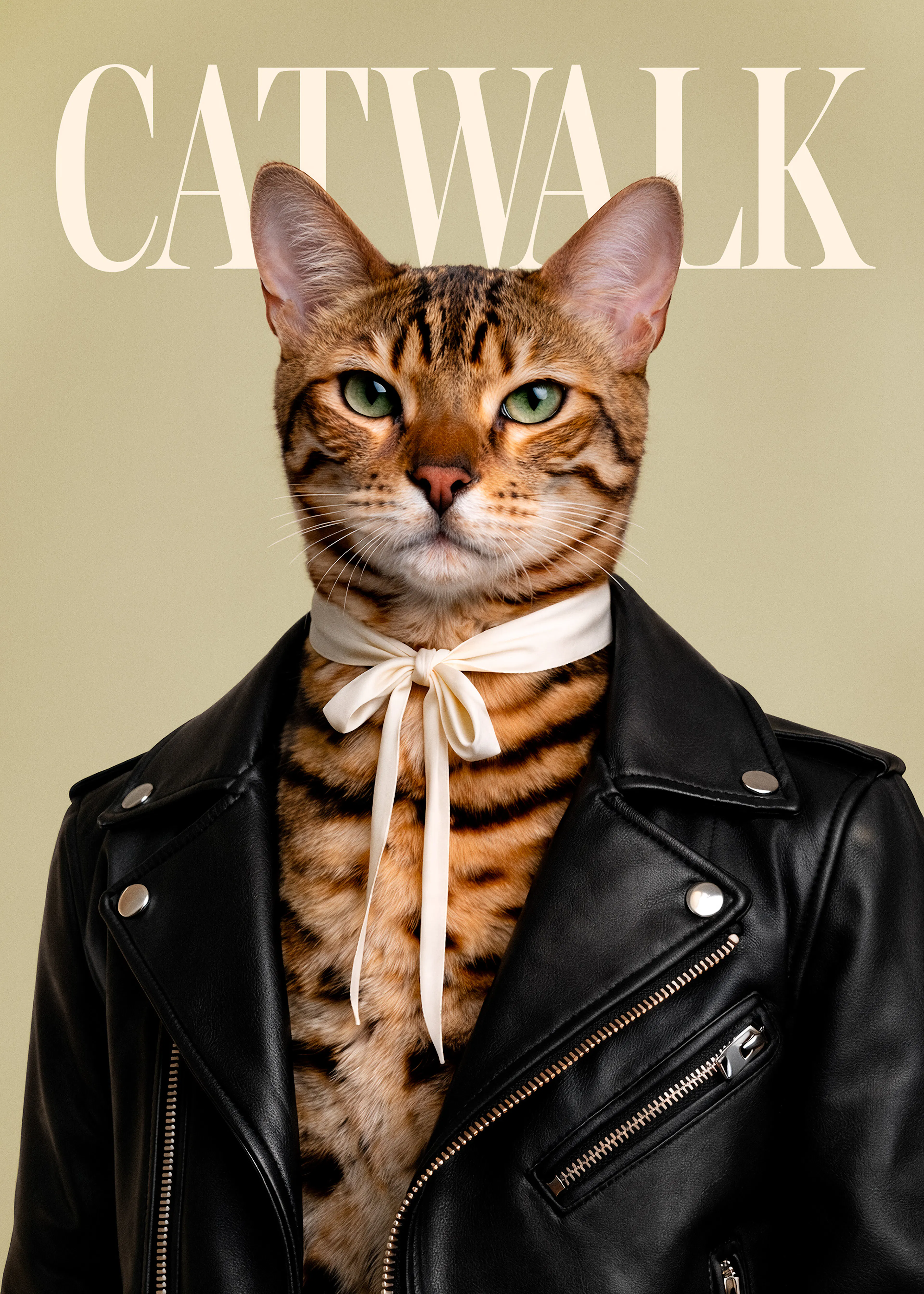 Catwalk No6 Print 0