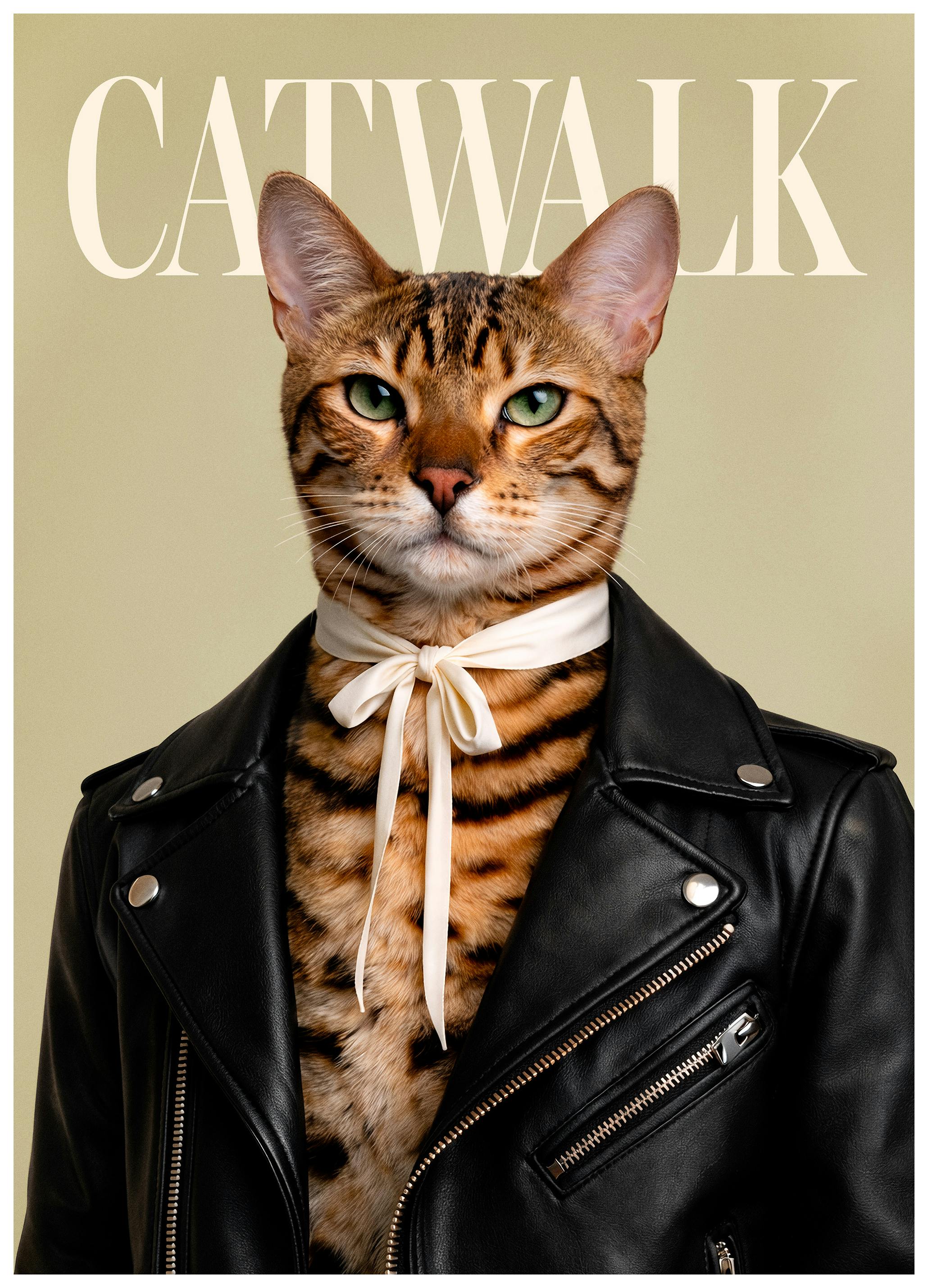 Catwalk No6 Plakat (21x30 cm)- Plakaty ze zwierzętami
