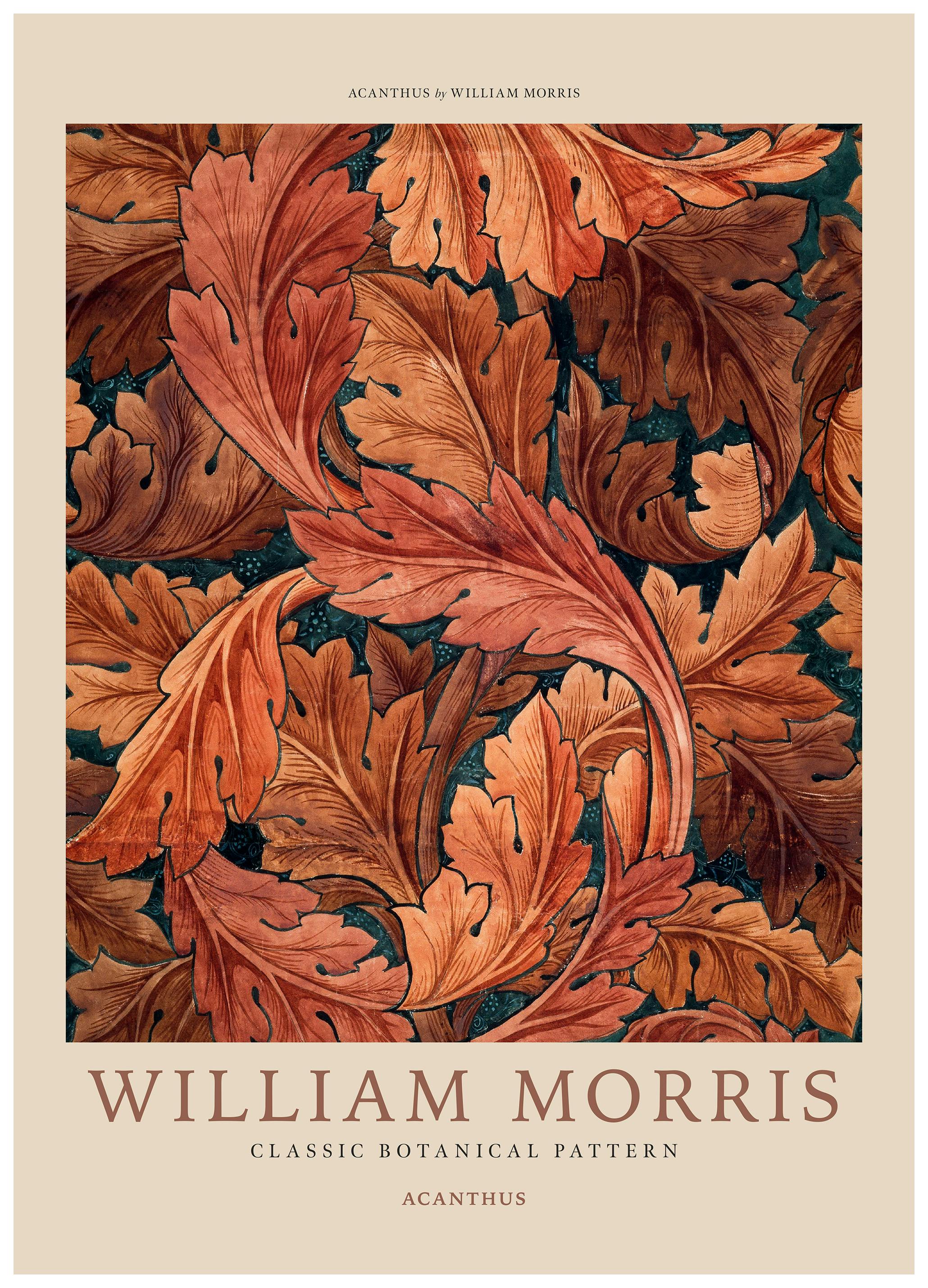 Prints - William Morris - Acanthus Print (50x70 cm) - William Morris Prints