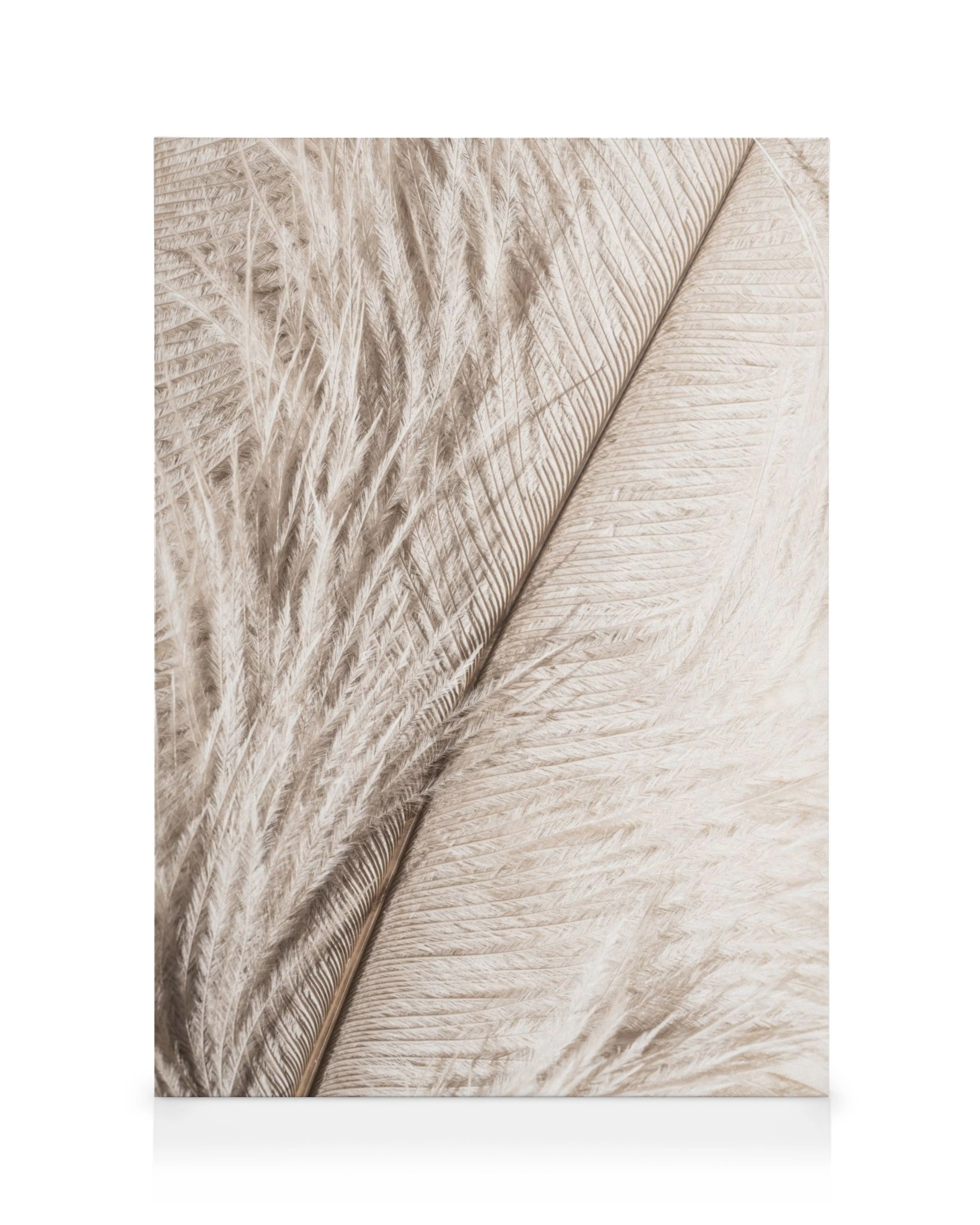 Close-up of a delicate, soft feather with light beige and brown hues, showcasing intricate feathery details. Feather art canvas.