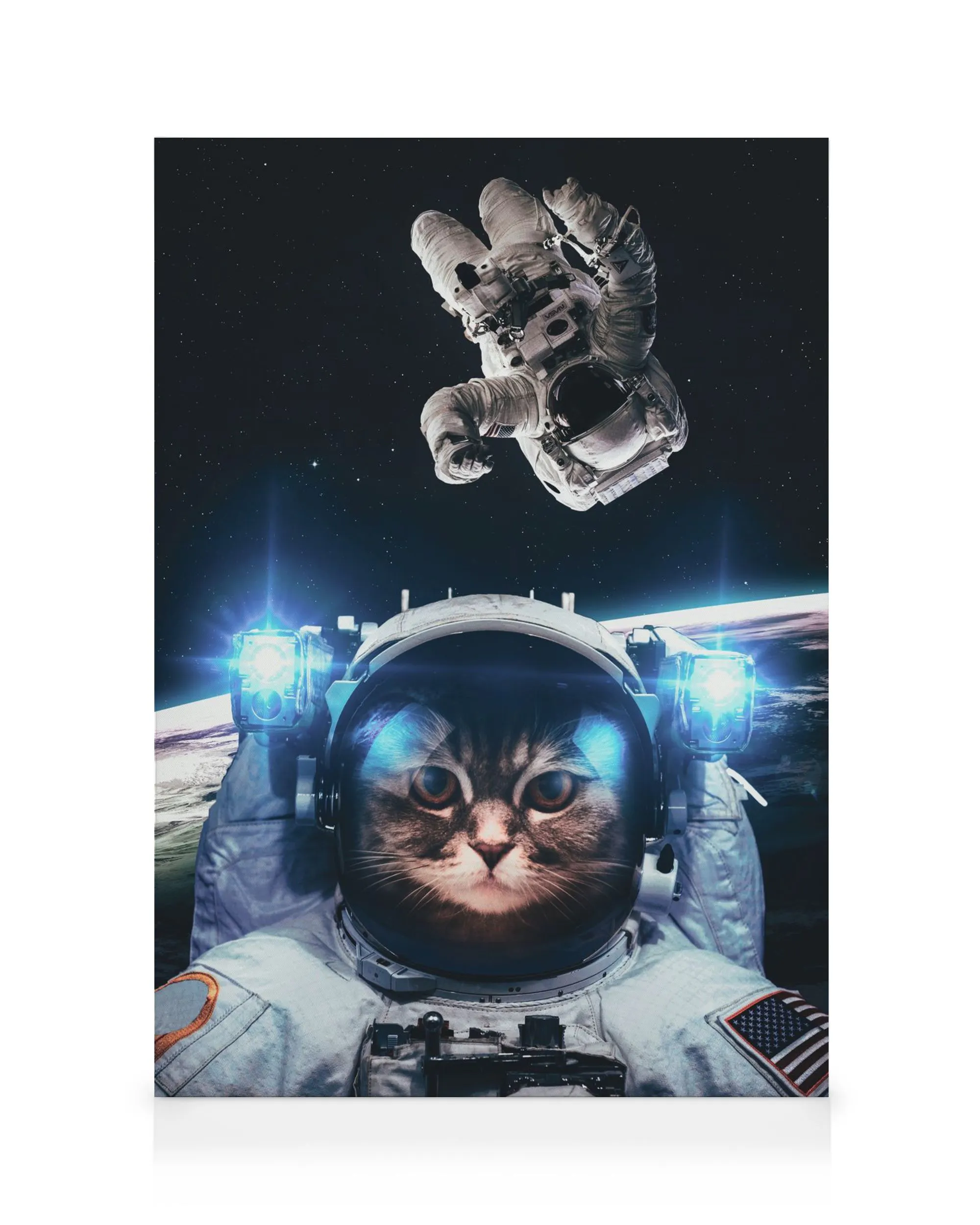 Photomontage canvas print of an astronaut with a cats face in the helmet visor, Earth and stars in background.
