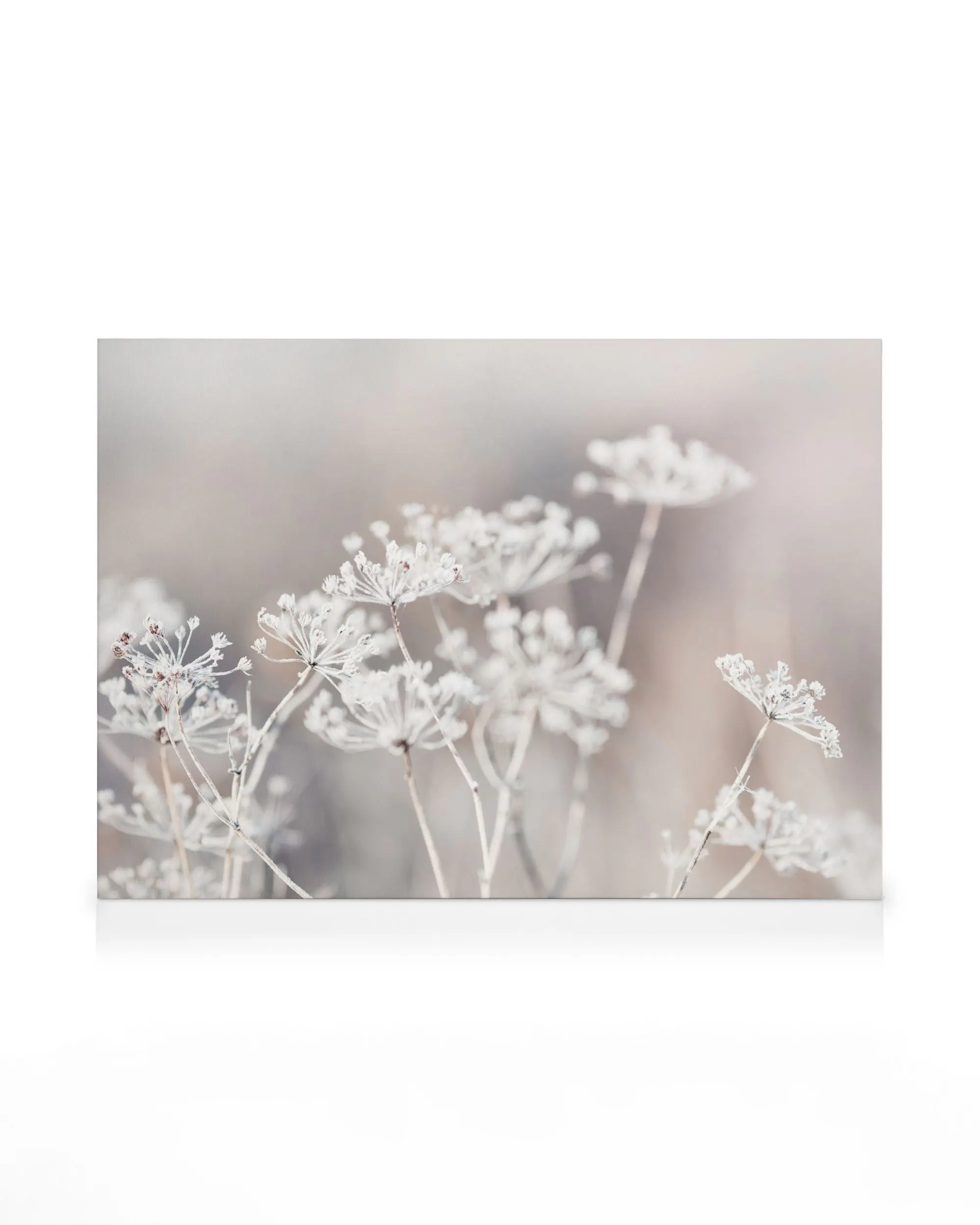 Botanical canvas print with delicate frost-covered plants in soft, muted tones, evoking a serene winter scene.