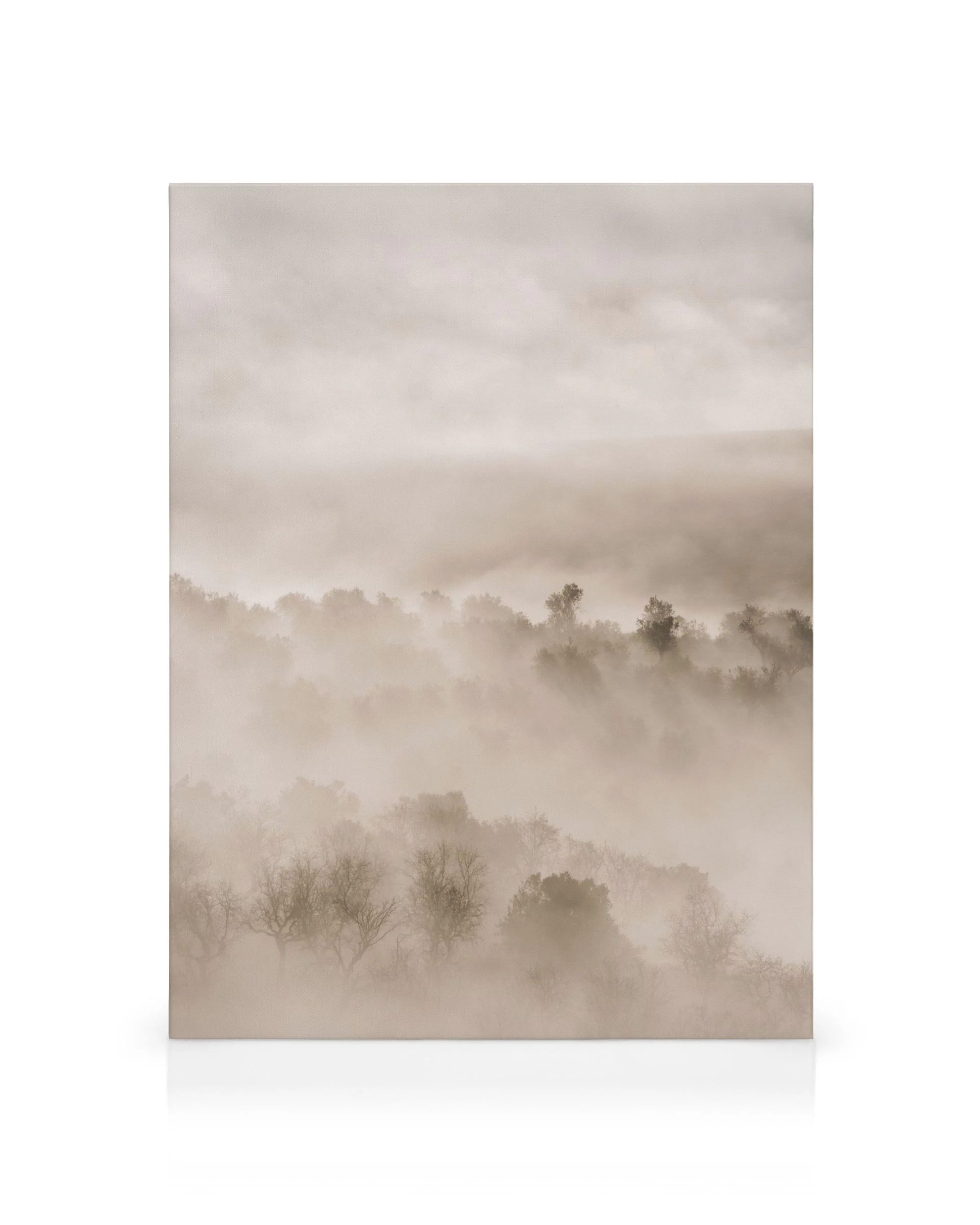 Leinwandbild: Malerische, nebelverhangene Landschaft mit Baumkronen, die aus dem dichten Nebel ragen, in sanften Sepiatönen.