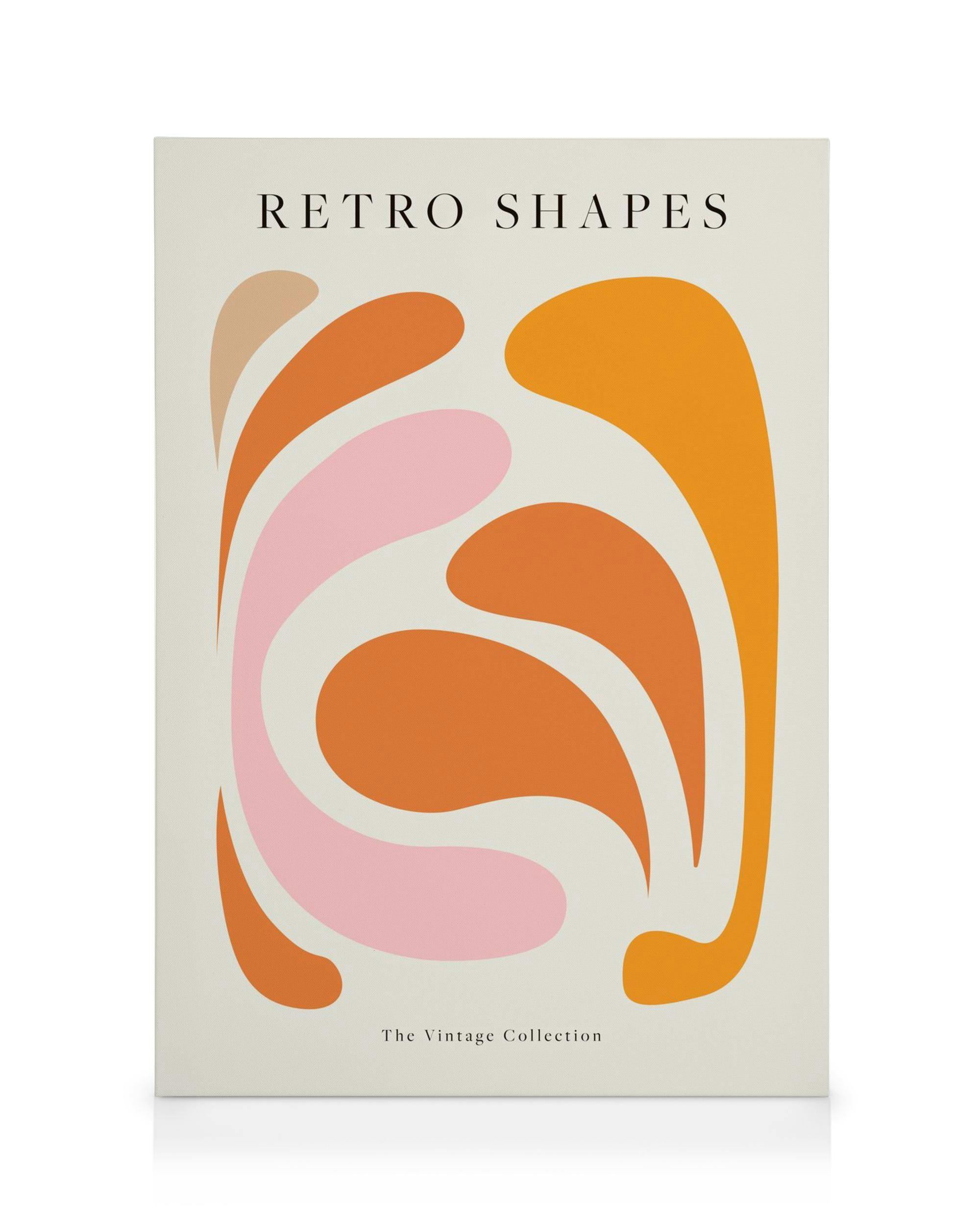 Retro Shapes No1 Obraz na plátne (30x40 cm)