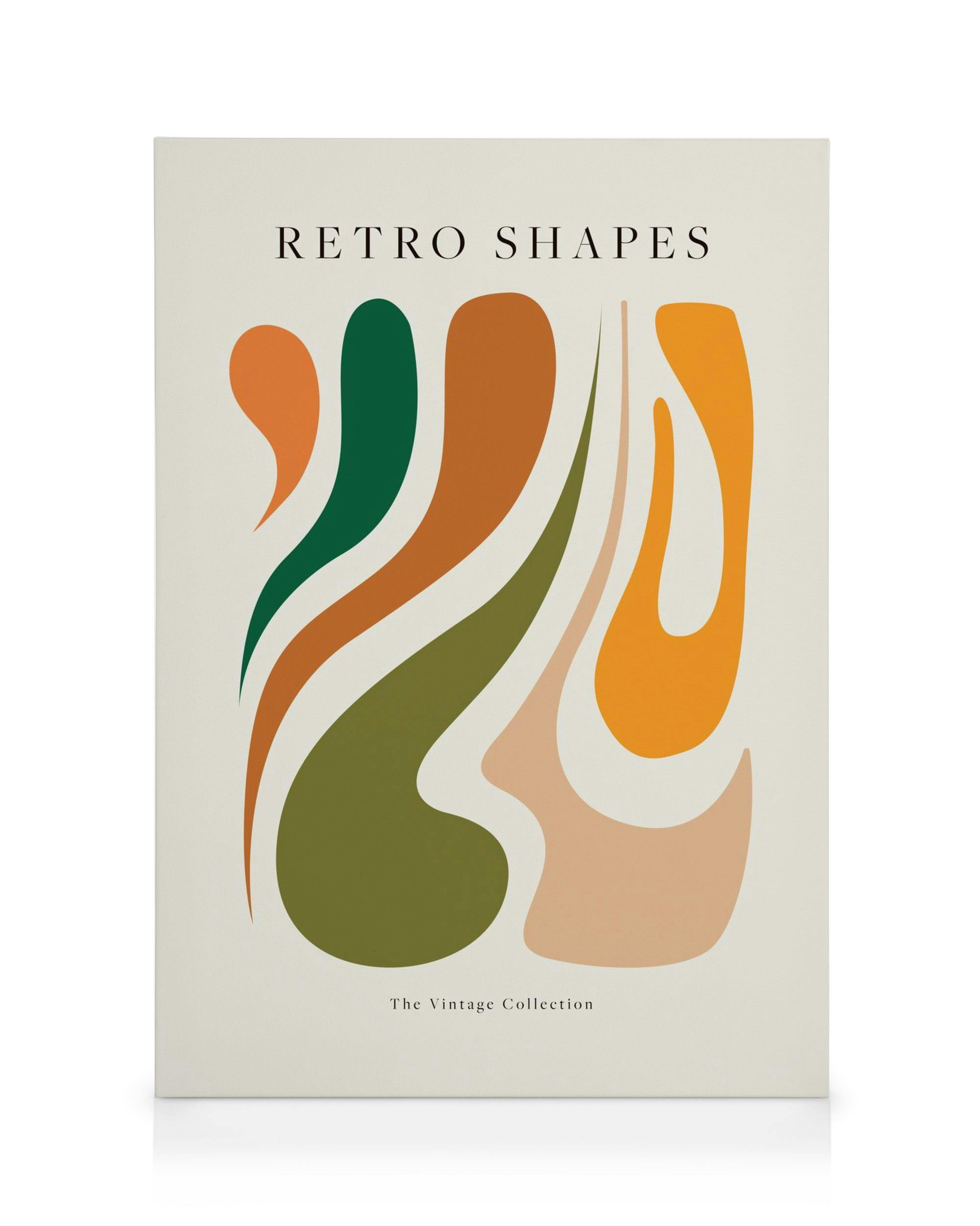 Retro Shapes No2 Obraz na plátne (30x40 cm)