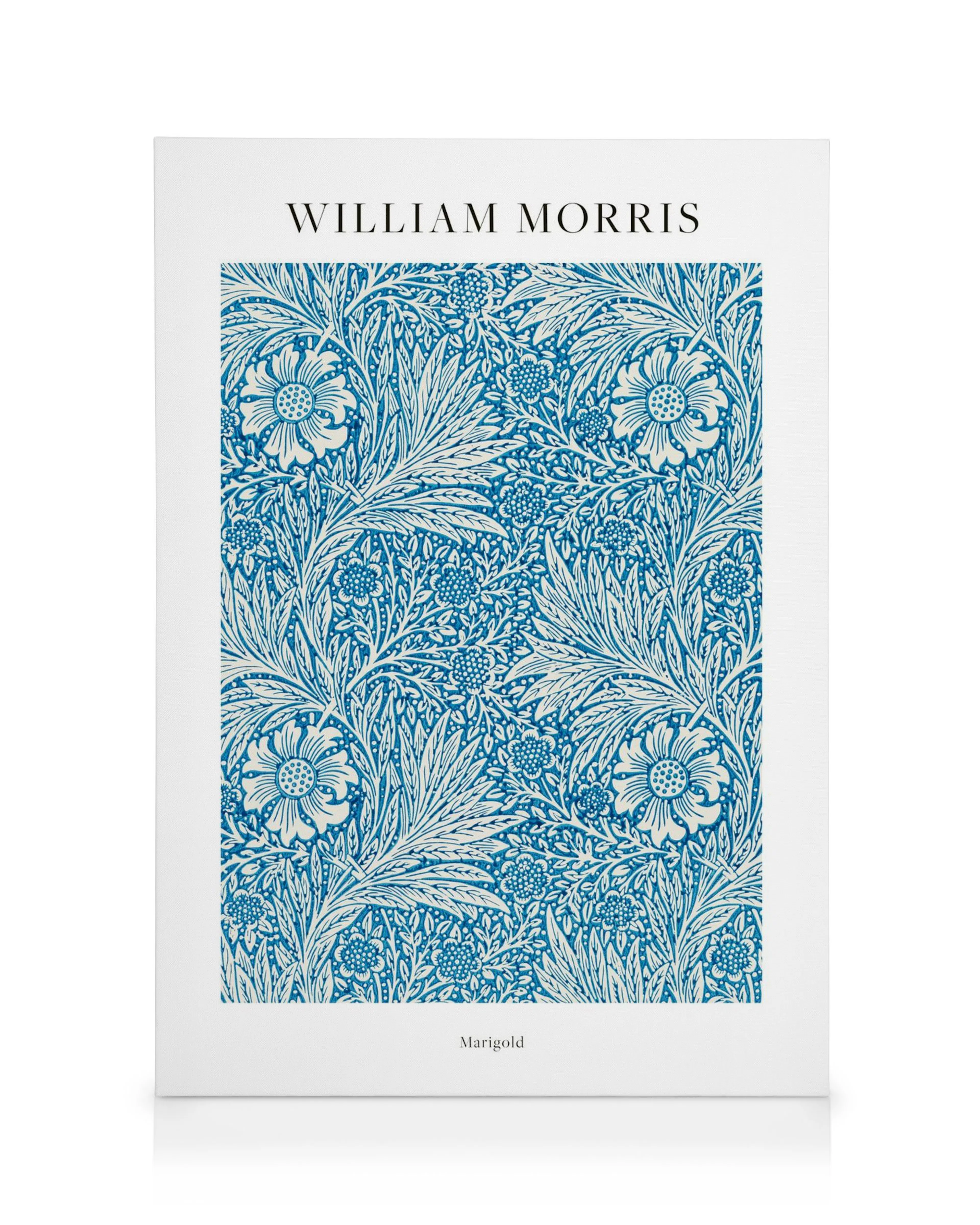 Stampa su tela Marigold di William Morris, motivo floreale blu e bianco, arte botanica decorativa.
