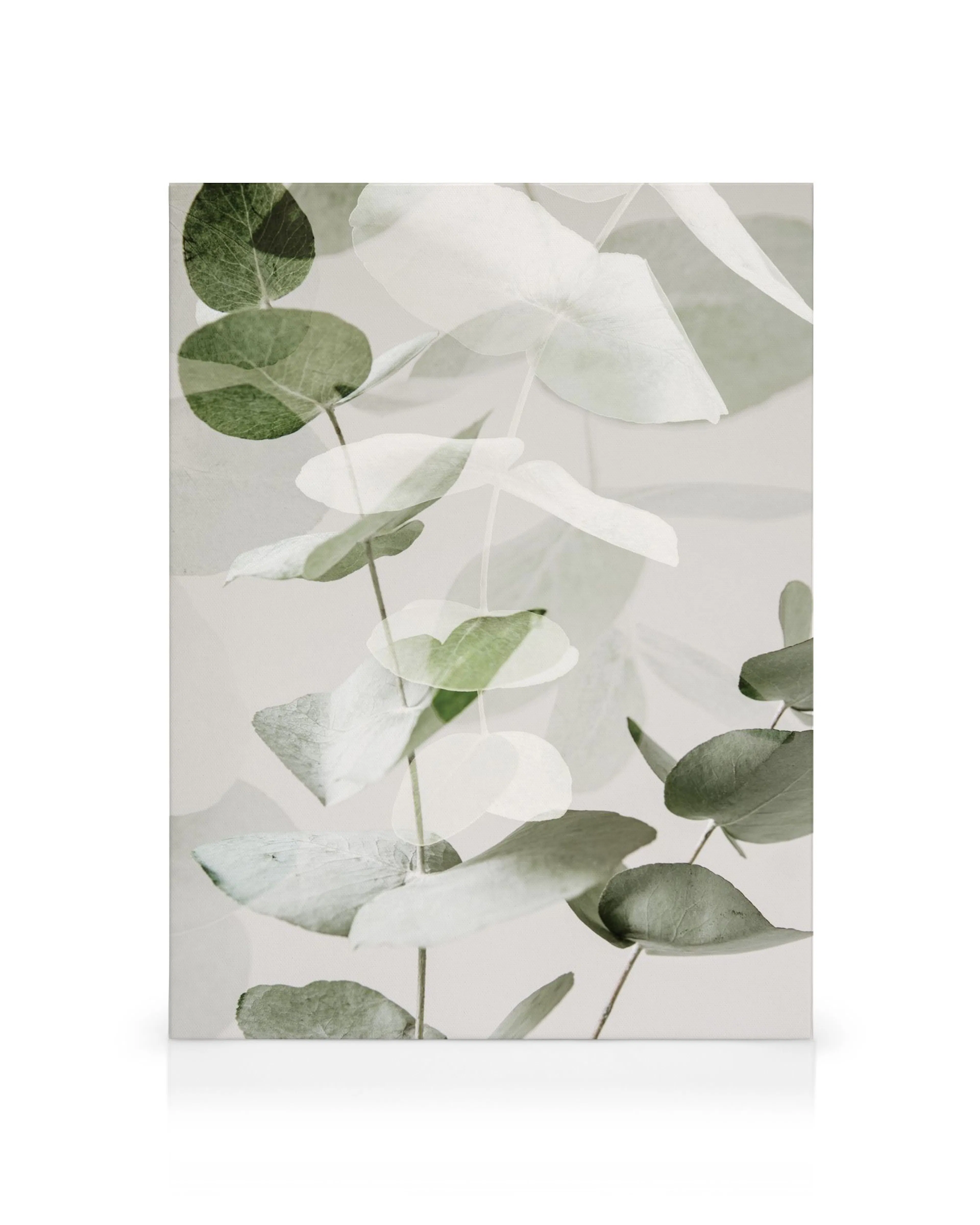 Leinwandbild mit überlagerten Eukalyptusblättern in Grüntönen und milchigem Weiß. Minimalistisches, naturinspiriertes Design.