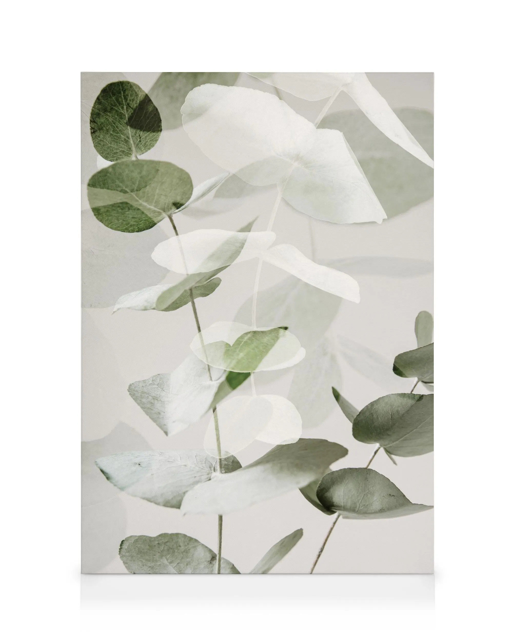 Stampa su tela botanica con foglie di eucalipto verdi sovrapposte e ombre morbide su sfondo bianco.