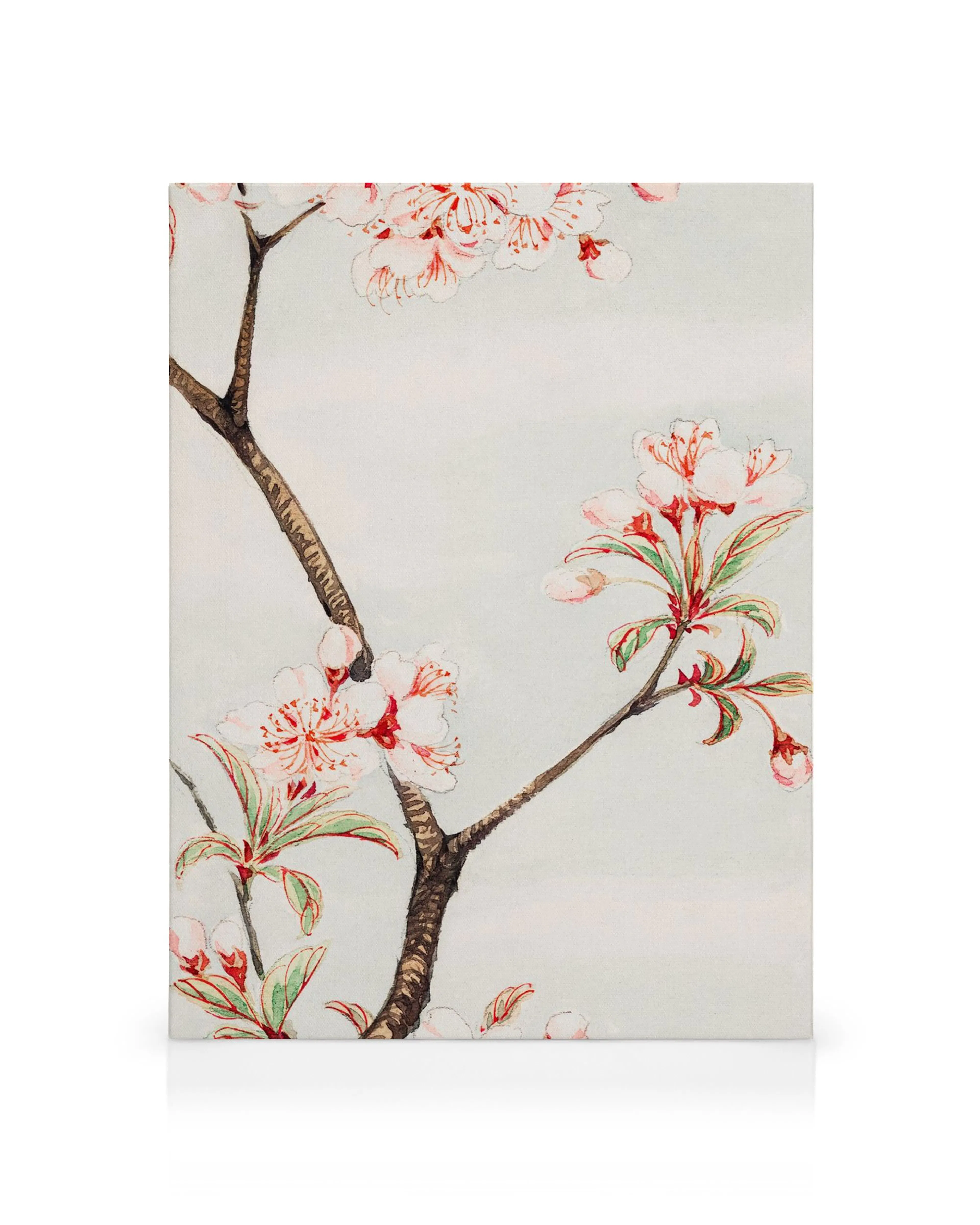 Leinwandbild mit zarten rosa Kirschblüten auf einem Ast, japanische Sakura-Kunst.