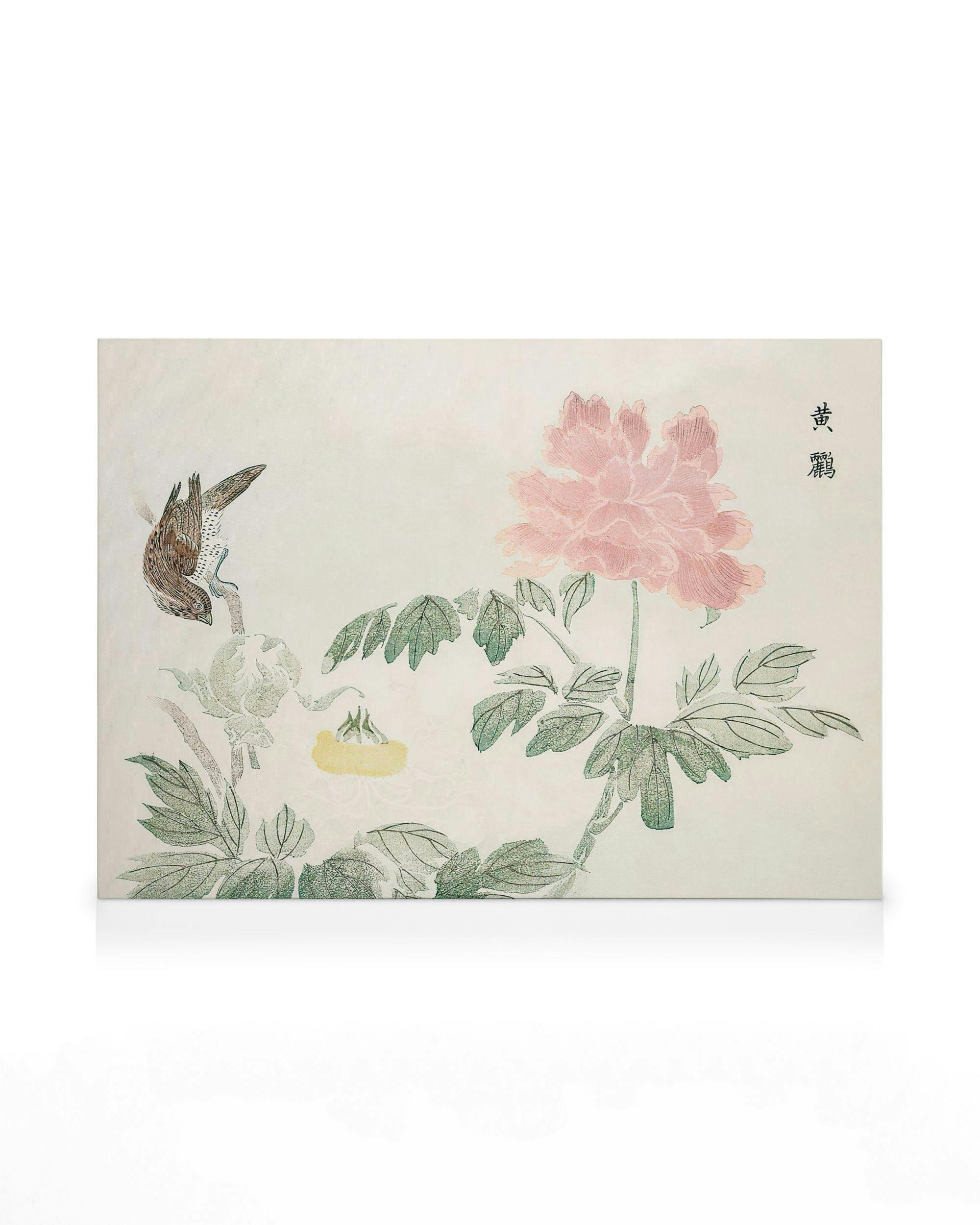 Obrazy na płótnie Chinese Peony Obraz na płótnie (30x40 cm)