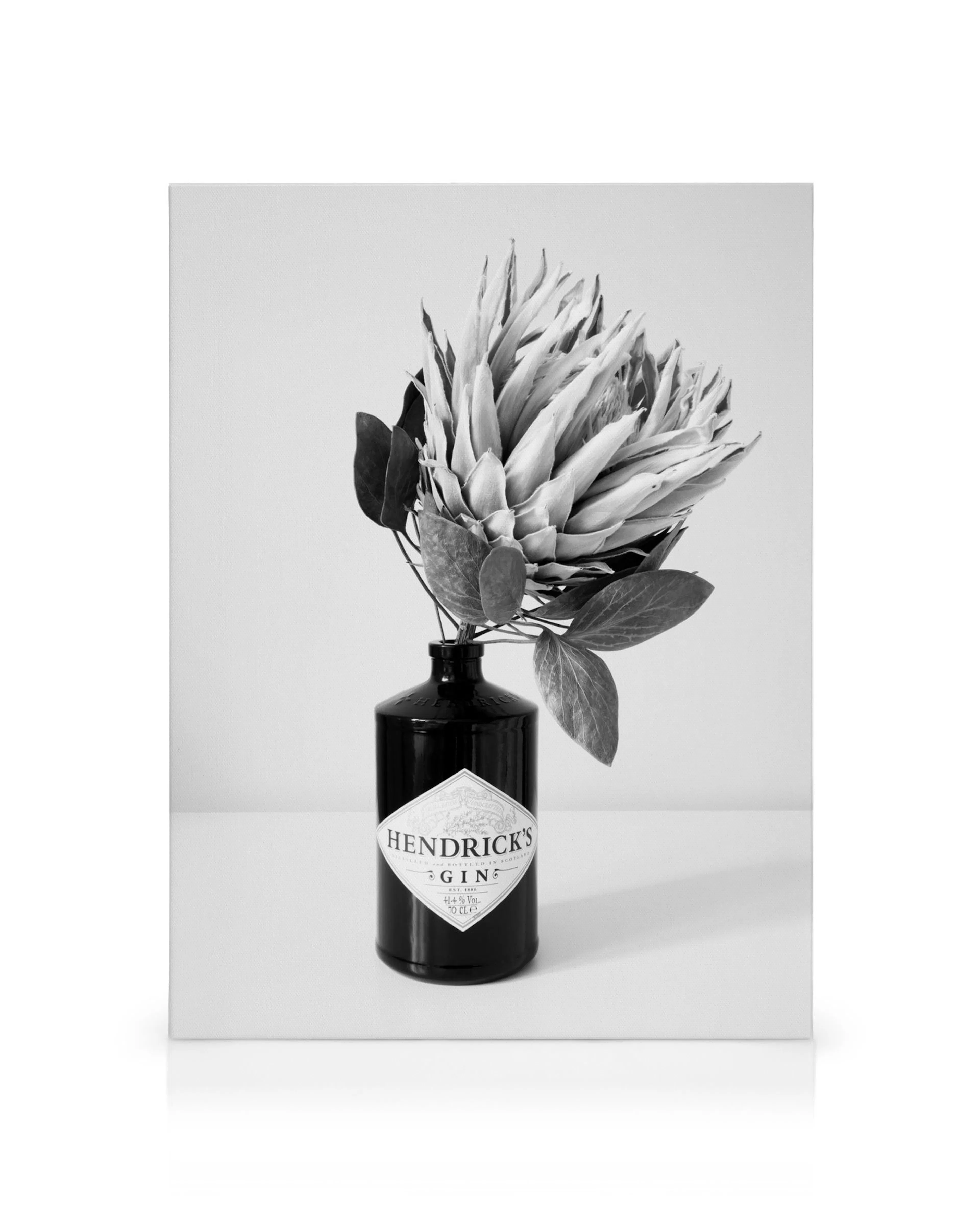 Sort/hvid lærredstryk med ginflaske og Protea blomst. Flasken er sort med hvid Hendricks gin etiket.