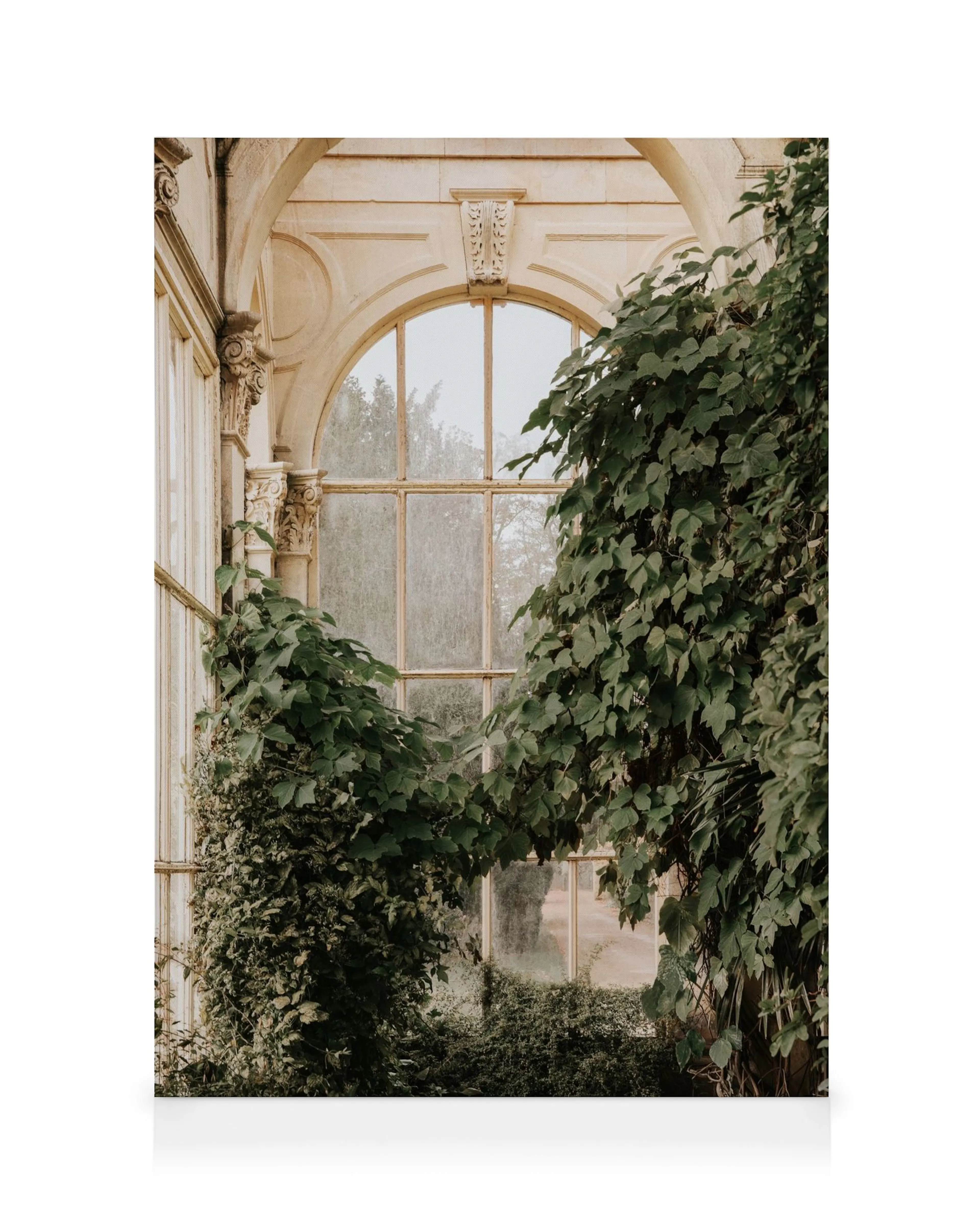 Inside Orangery canvas print, featuring a large arched window with overgrown green ivy on a stone building.