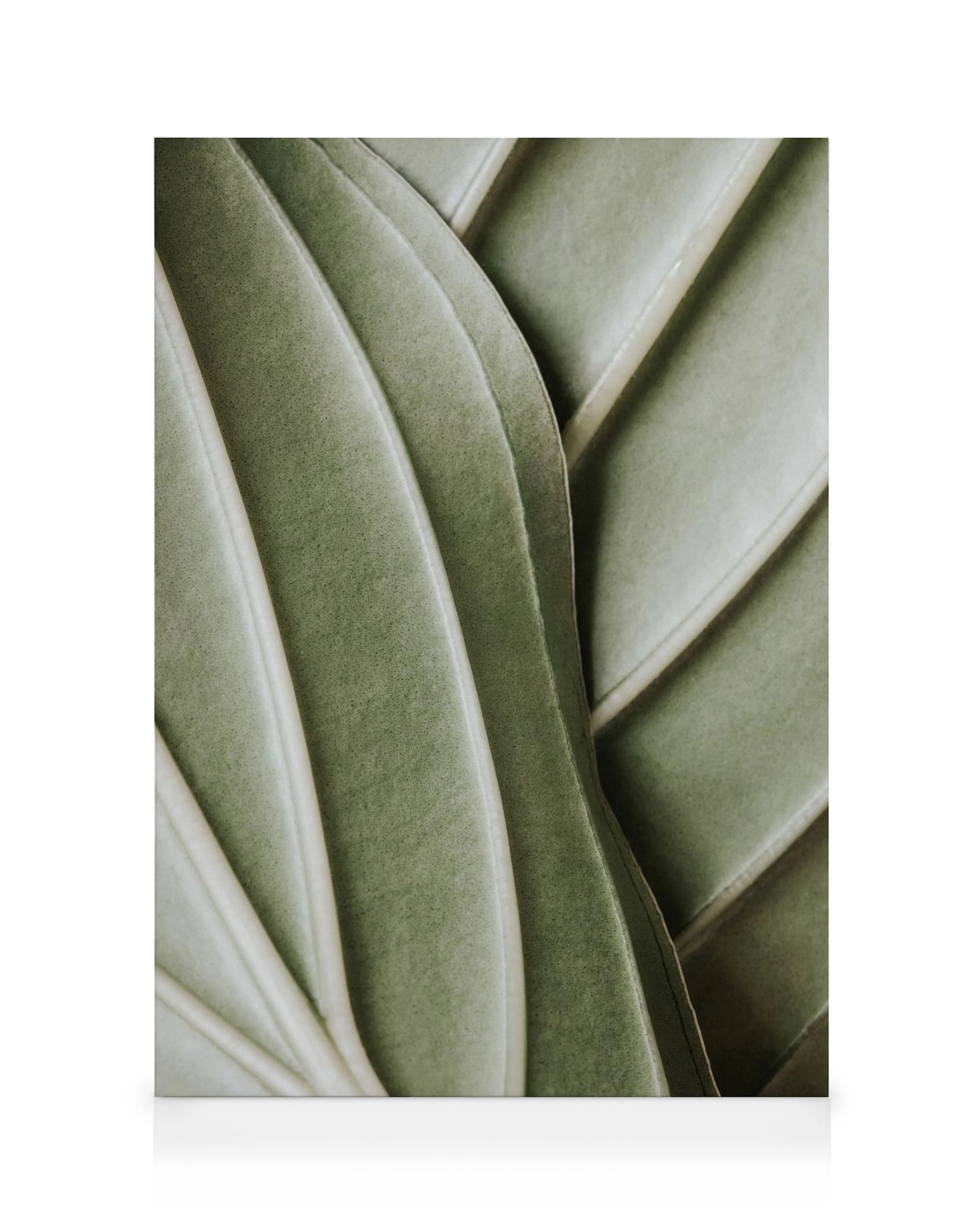 Organic Lines Canvas print displaying close-up of a green leaf with prominent organic veins and soft textures.