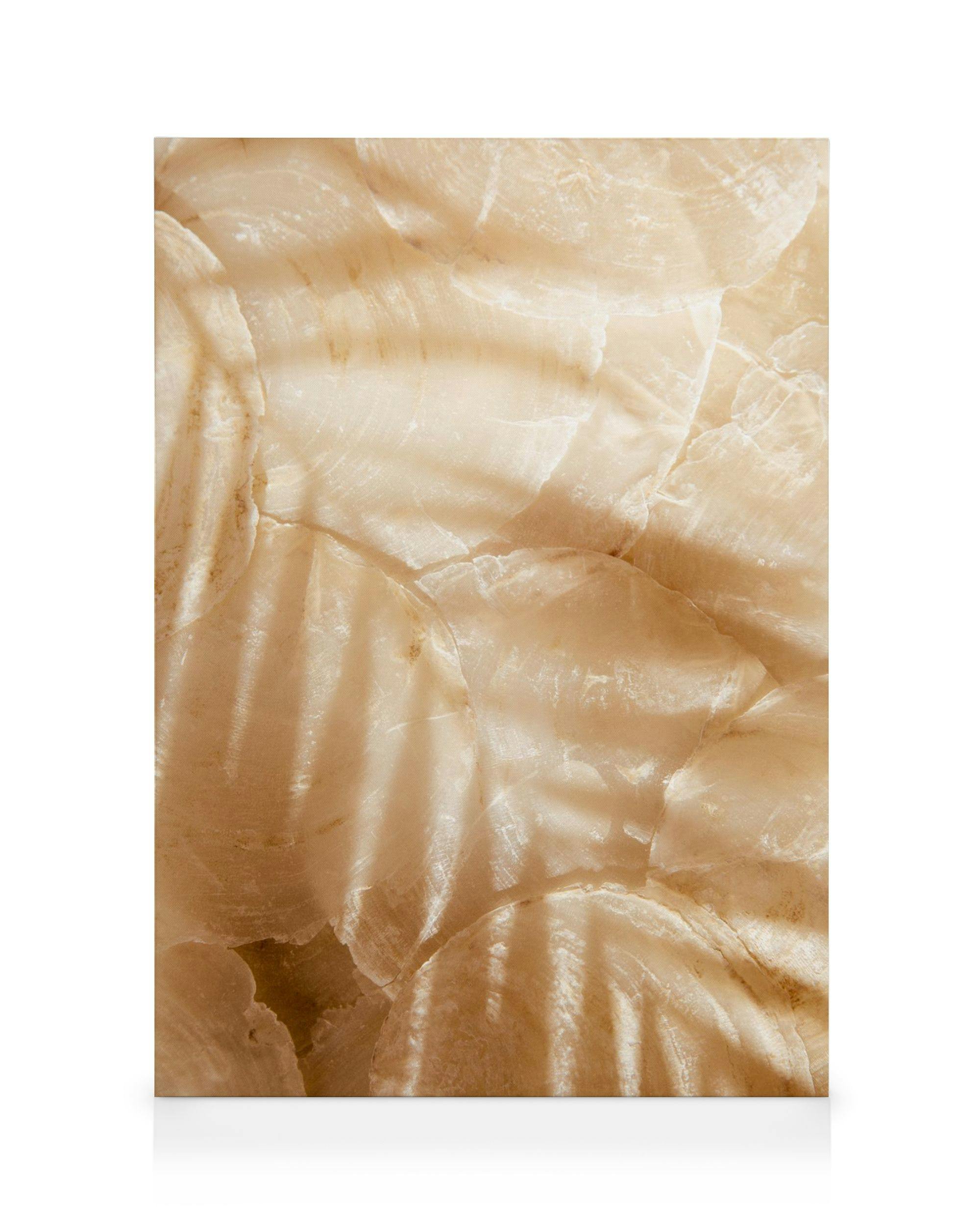 Palm Leaf Reflection Lienzo (50x70 cm)