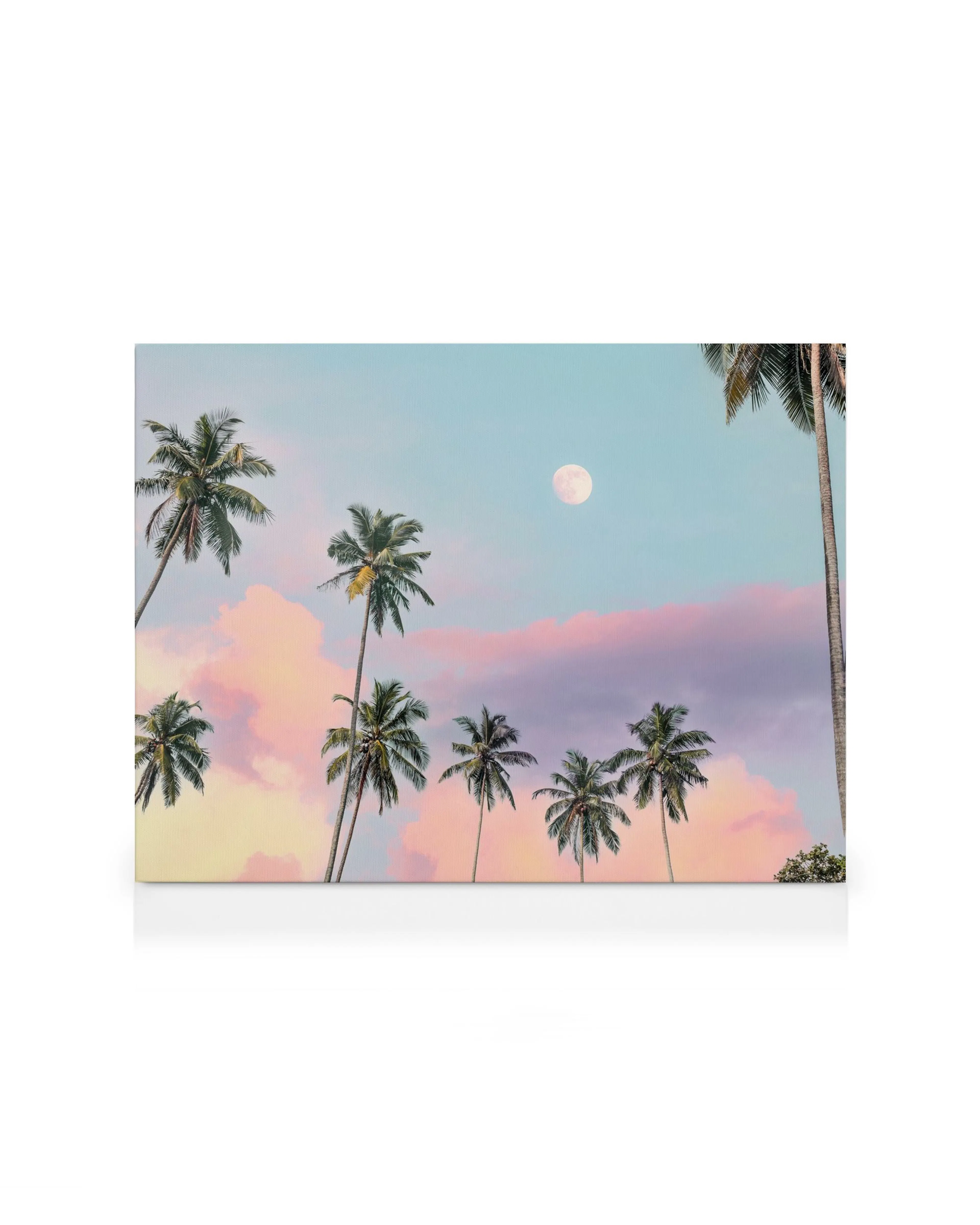 Leinwandbild mit Palmen, rosa-blauem Abendhimmel und Vollmond