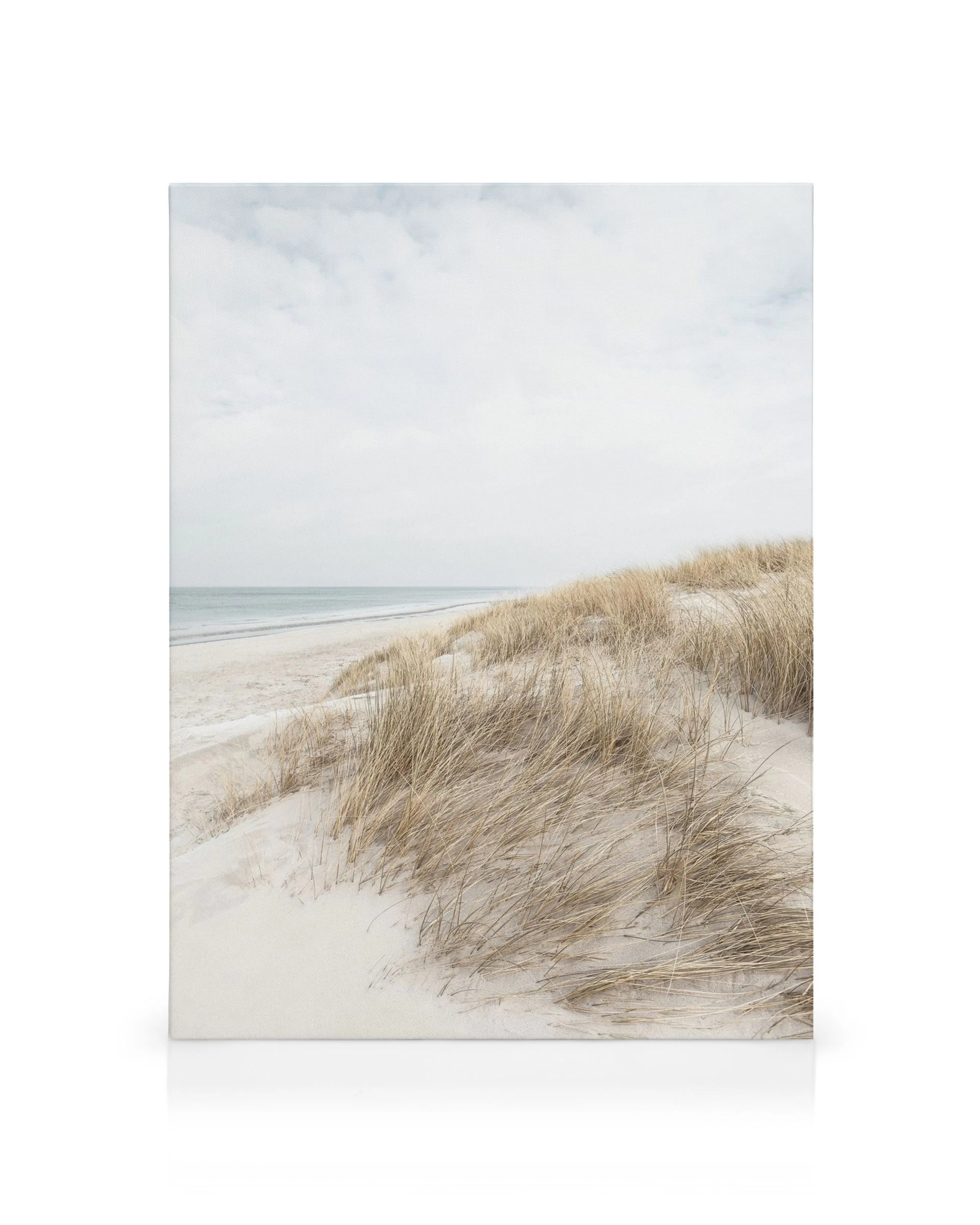 Cape Cod hiekkadyynit, merimaisema ja ranta, vaaleanruskeaa ruohoa dyynin päällä, vaaleansininen taivas.