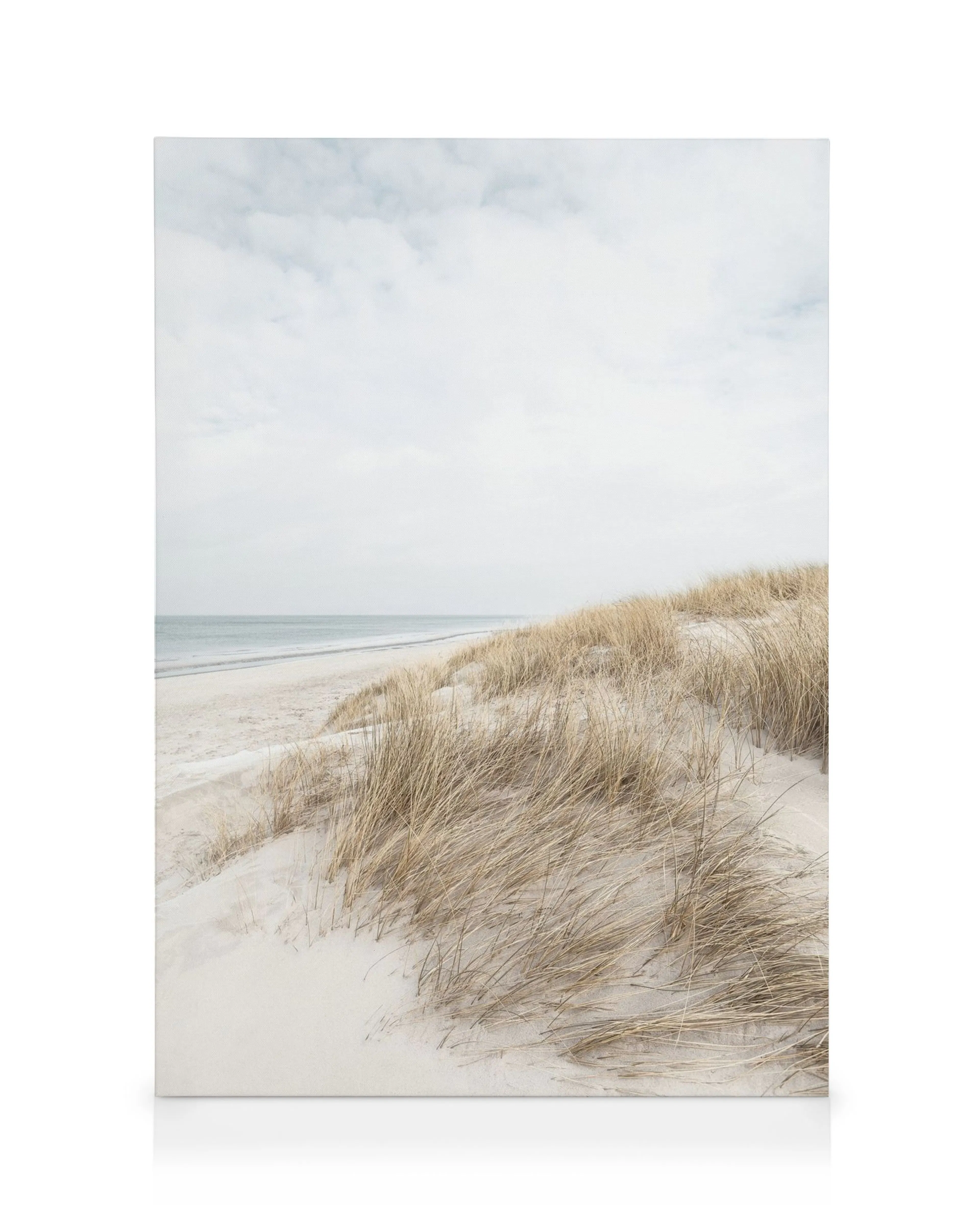 Cape Cod Dünen Leinwandbild: Heller Sandstrand mit Dünen und trockenem Gras unter bewölktem Himmel am Meer.