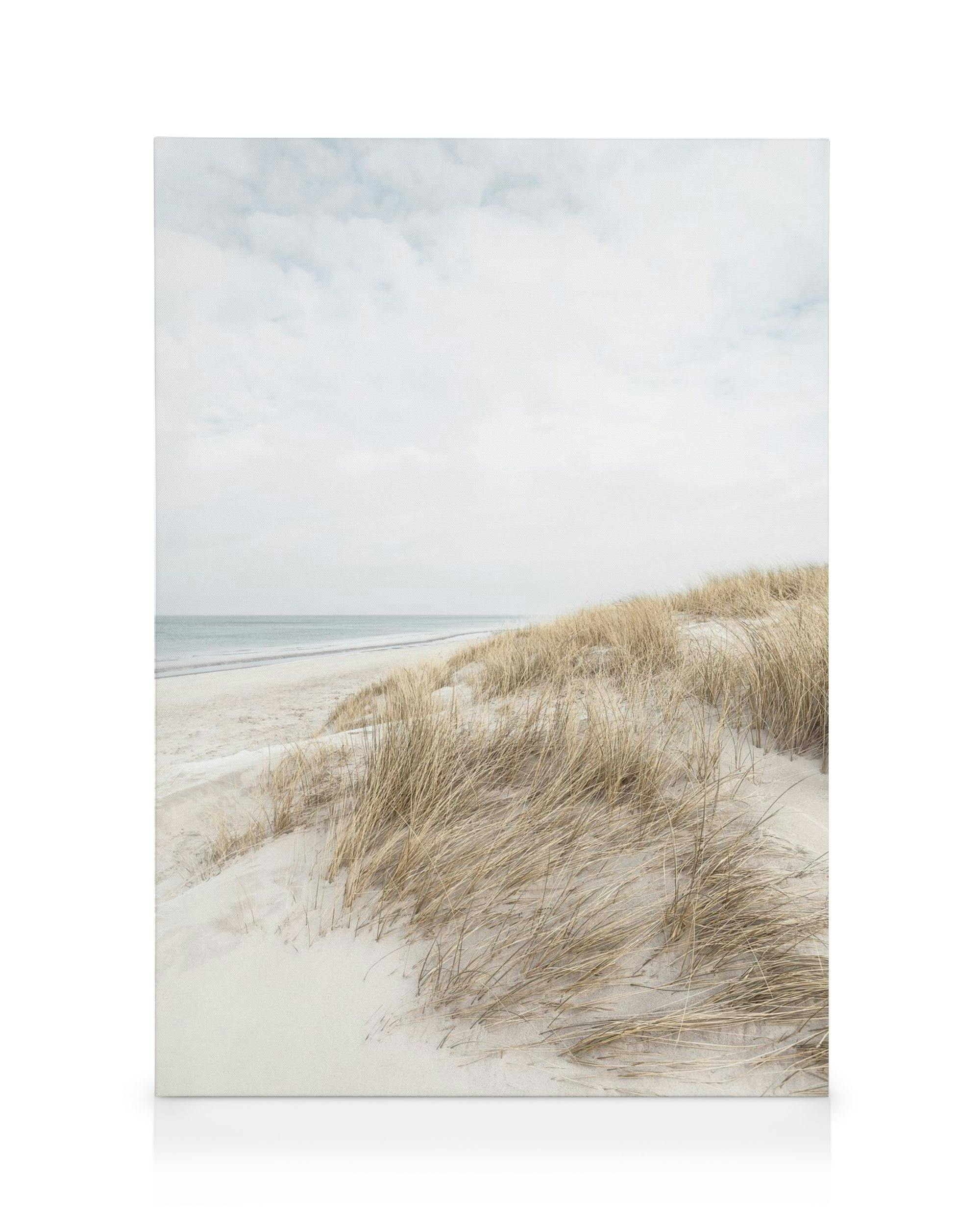 Cape Cod Dunes obraz na plátně (30x40 cm)