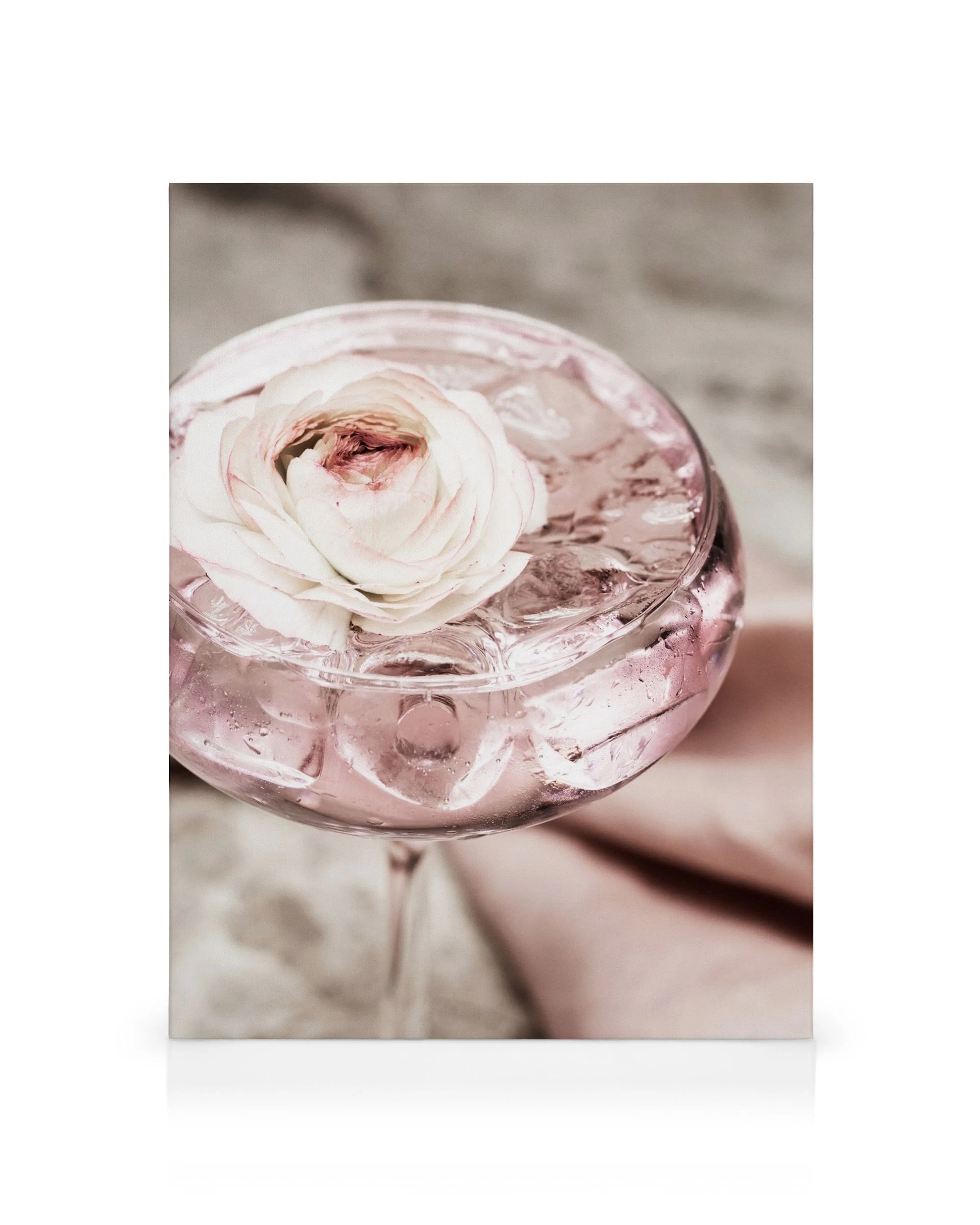 Pinker Cocktail mit Eiswürfeln und weißer Ranunkelblüte als Garnitur in einem Glas auf Leinwand.