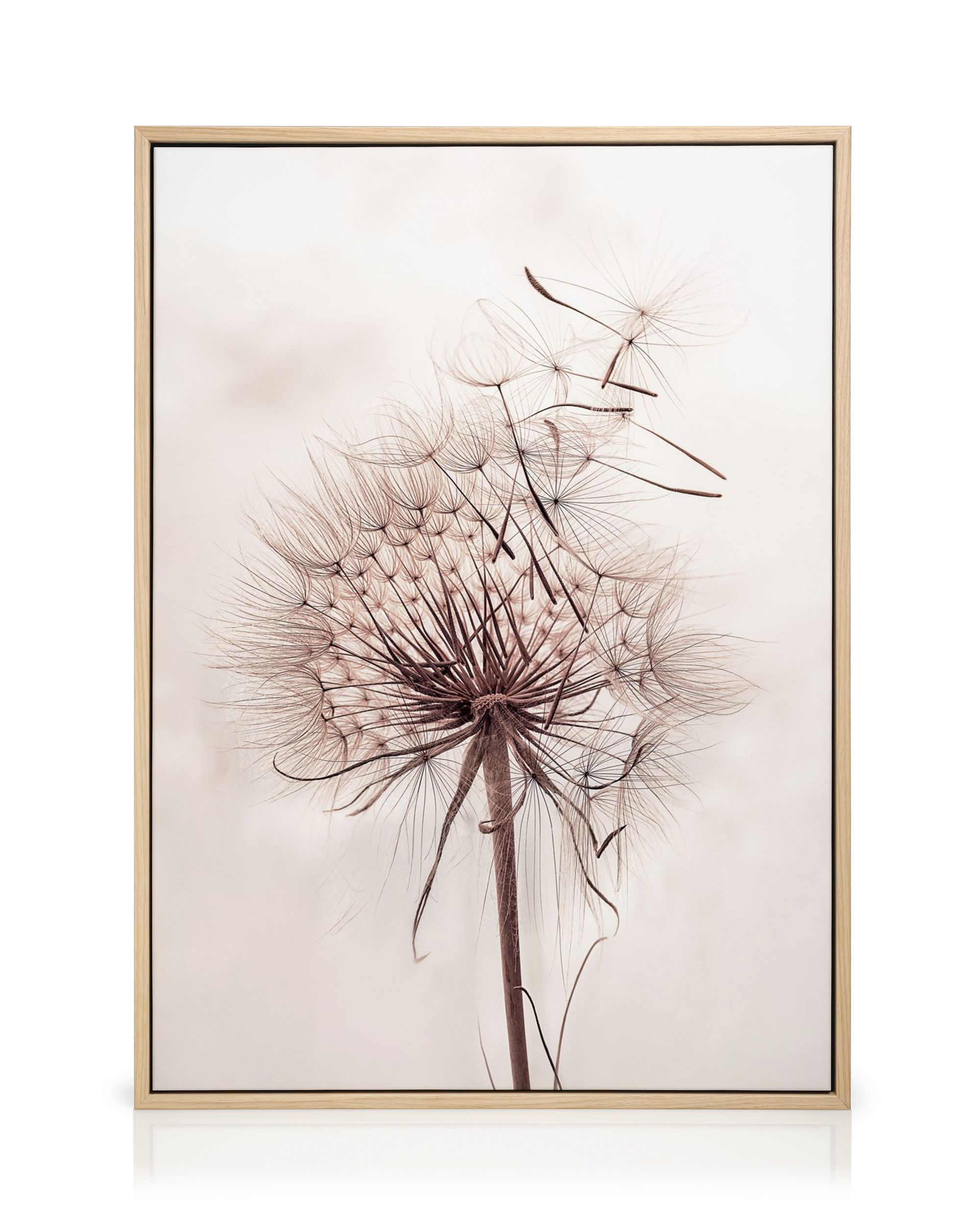 Alone with a dandelion. 小型油絵 抽象画 ハンドメイド Delicate Dandelion Canvas Print – Botanical Wall Art | Desenio