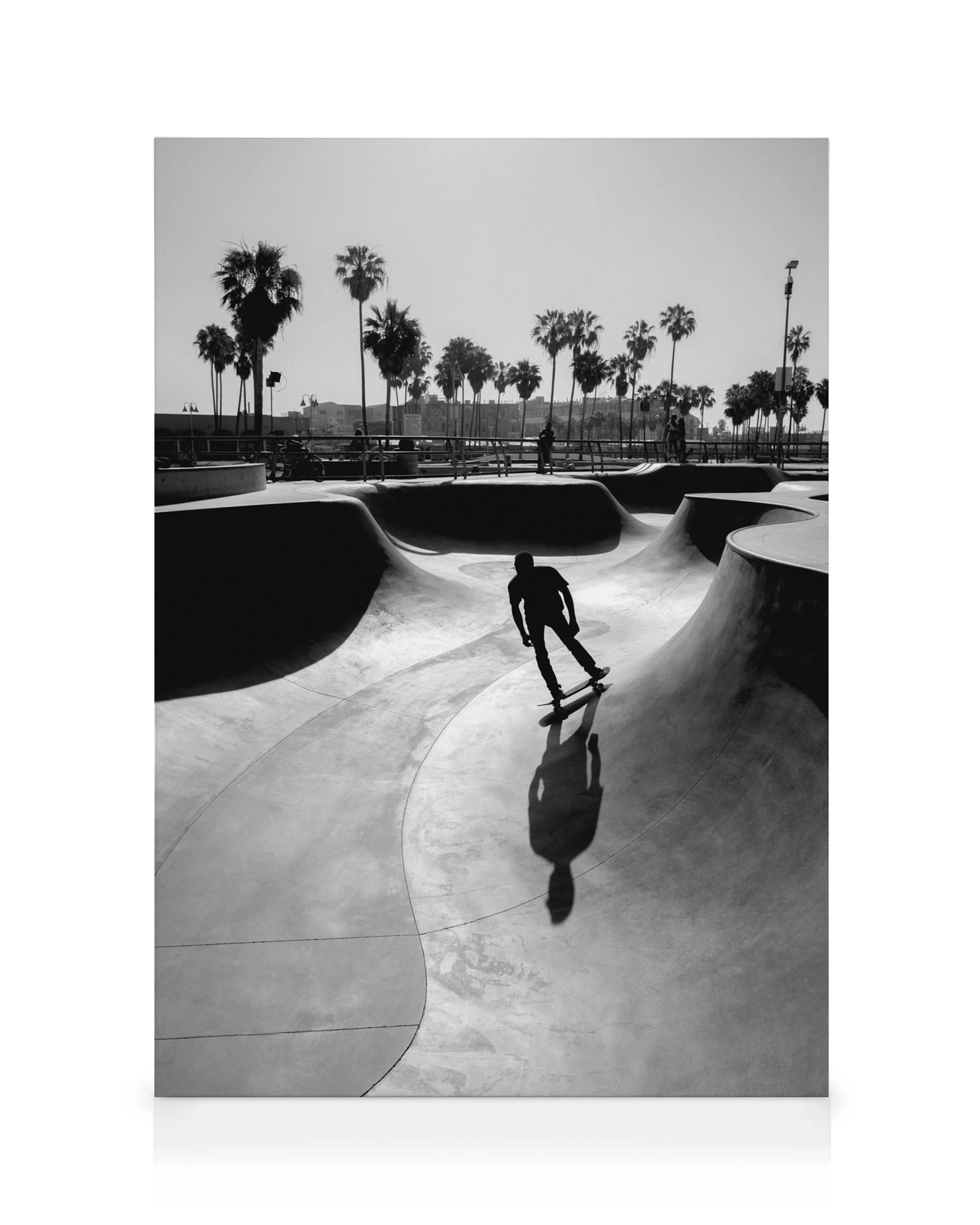 Black and white Venice Beach skatepark photo with a skateboarder and palm trees under a clear sky.