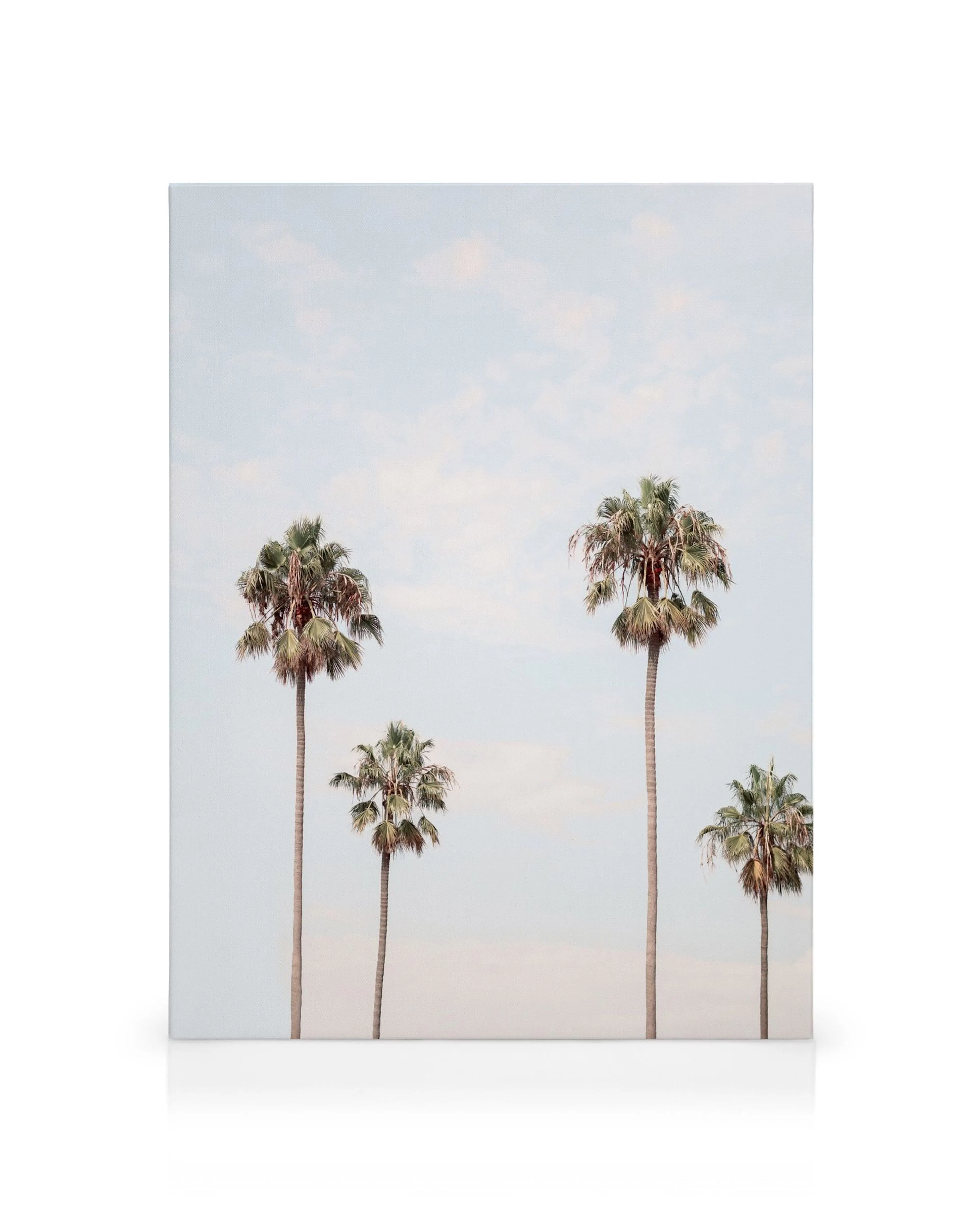 Lienzo Palm Sky con cuatro palmeras altas sobre un cielo azul pálido, con un efecto de imagen reflejada en tonos azules y verdes