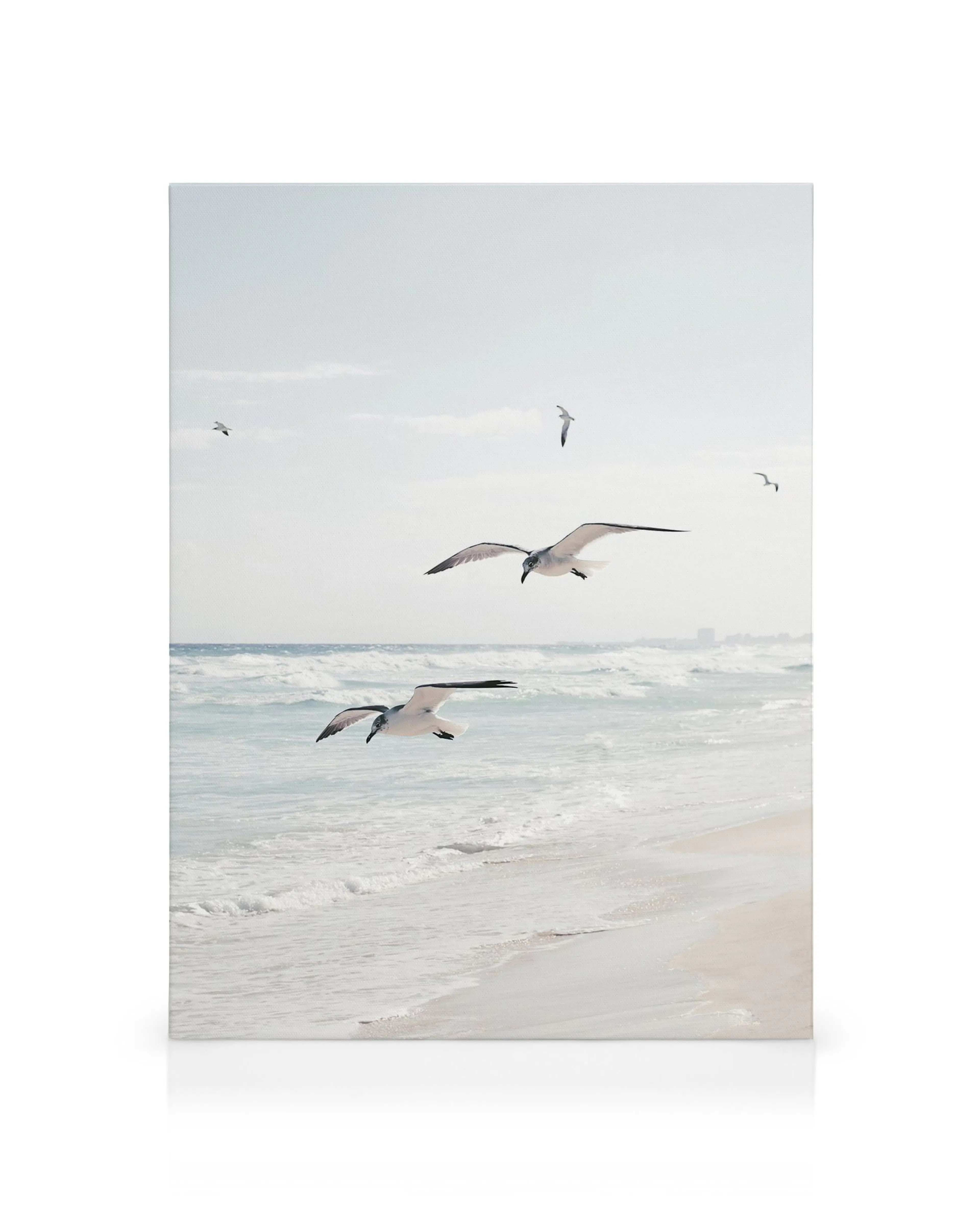 Seagulls flying over a clear blue ocean and sandy beach, light blue sky with white clouds in summery photography.