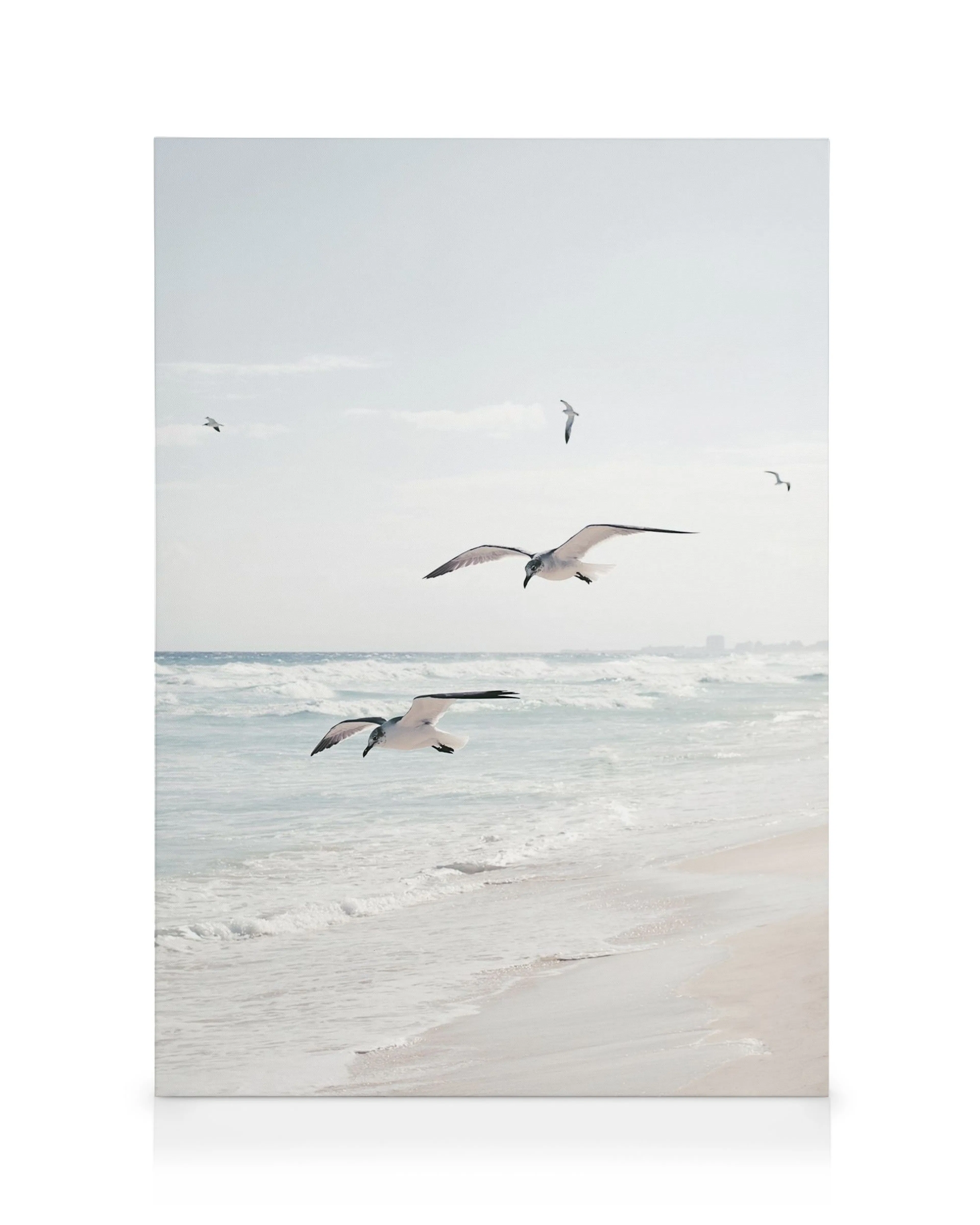 Seagulls flying over a clear blue ocean and sandy beach, light blue sky with white clouds in summery photography.