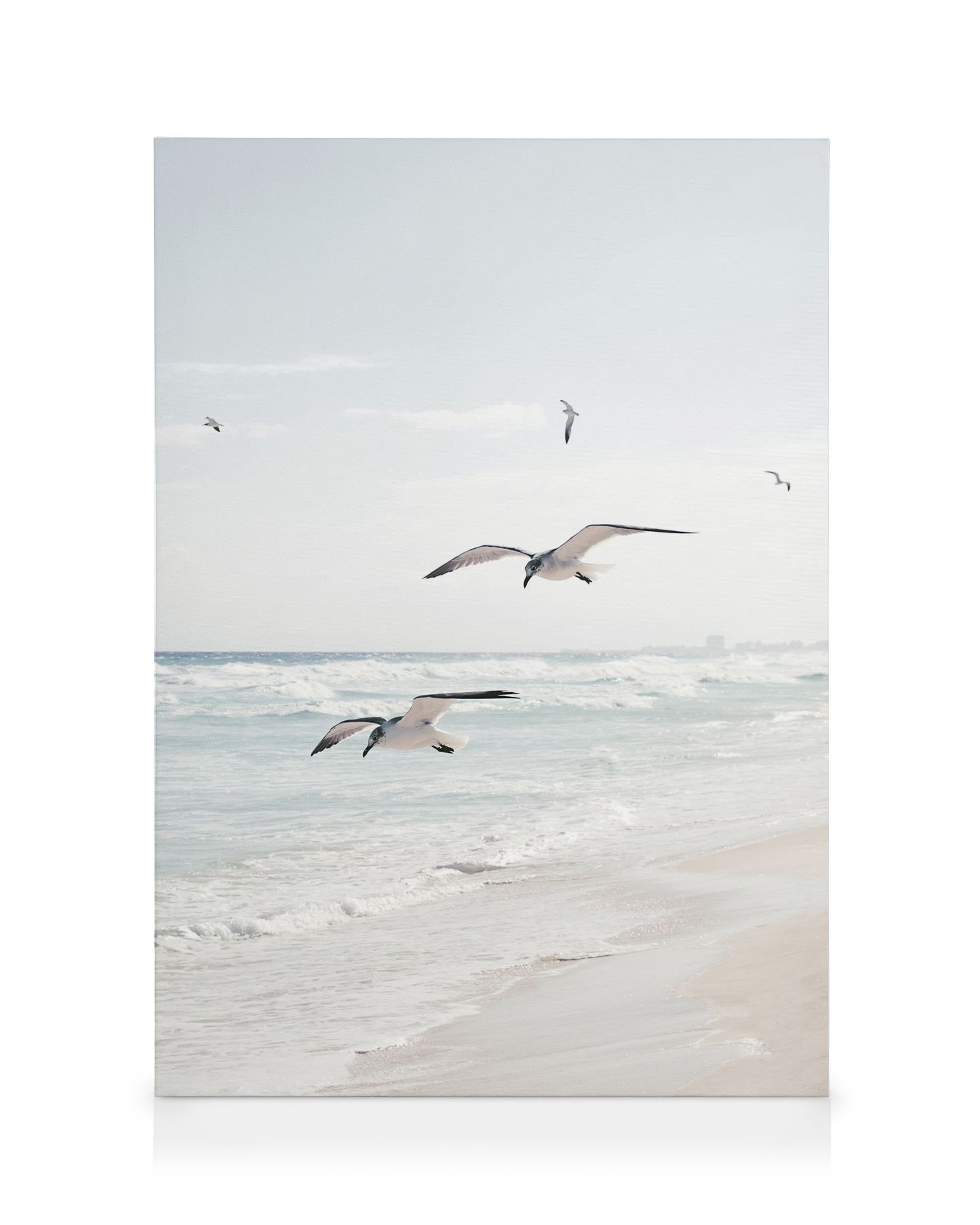 Seagulls over the Ocean Canvas Print – Coastal Wall Art | Desenio