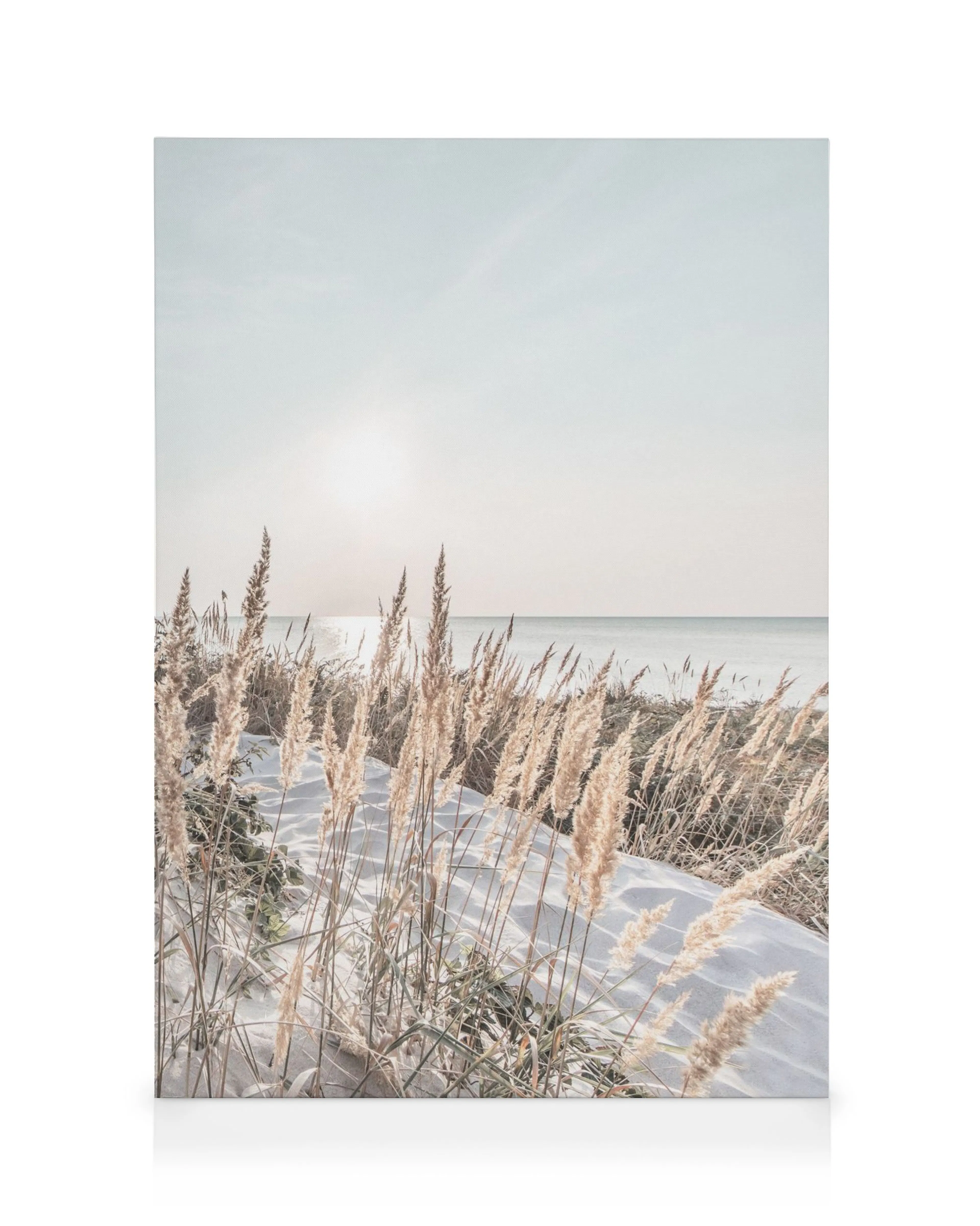 White sand coast canvas print with tall grass, snow, pale blue ocean, and bright white sun.
