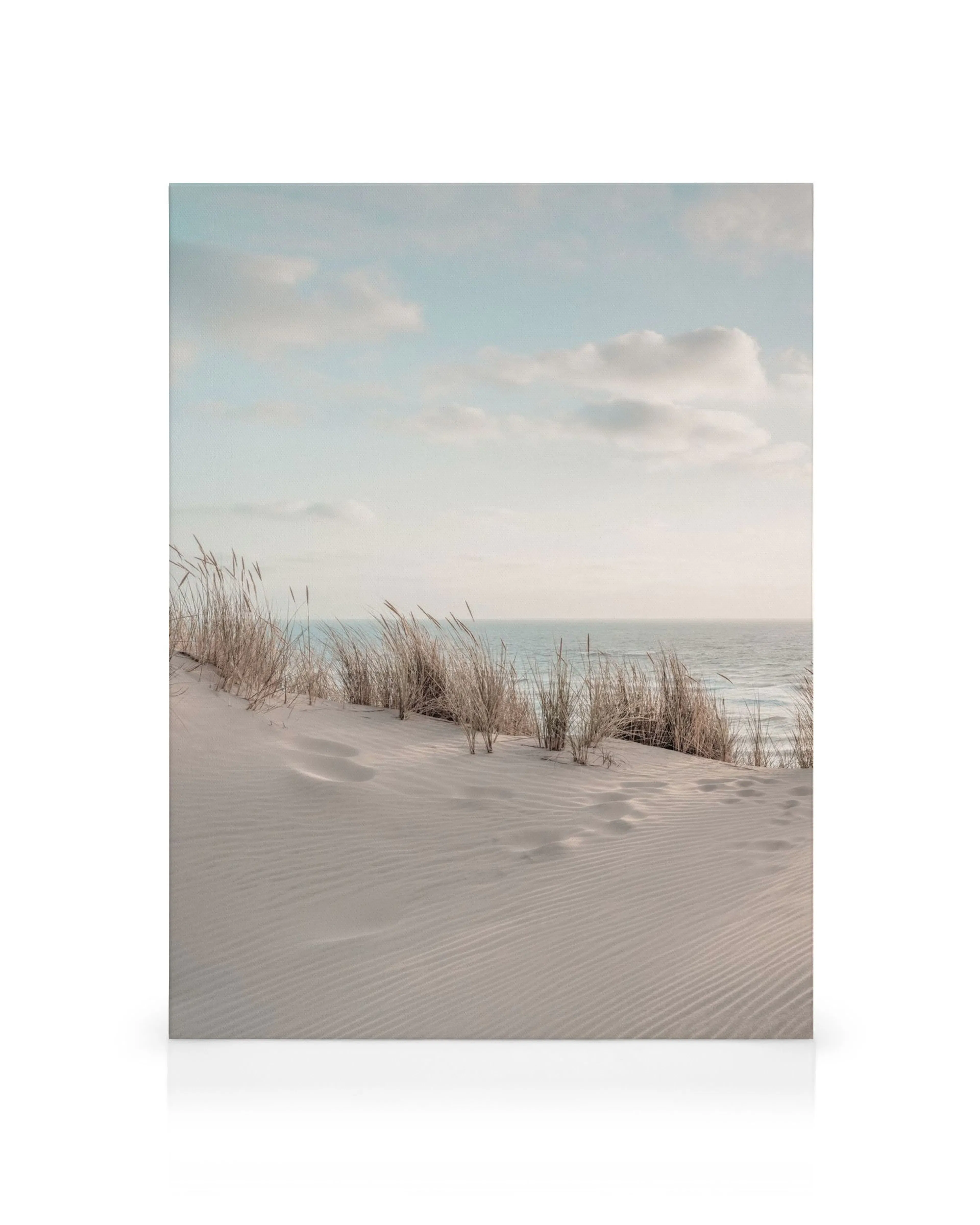 Toile de dune de sable avec herbes, ciel bleu et mer calme