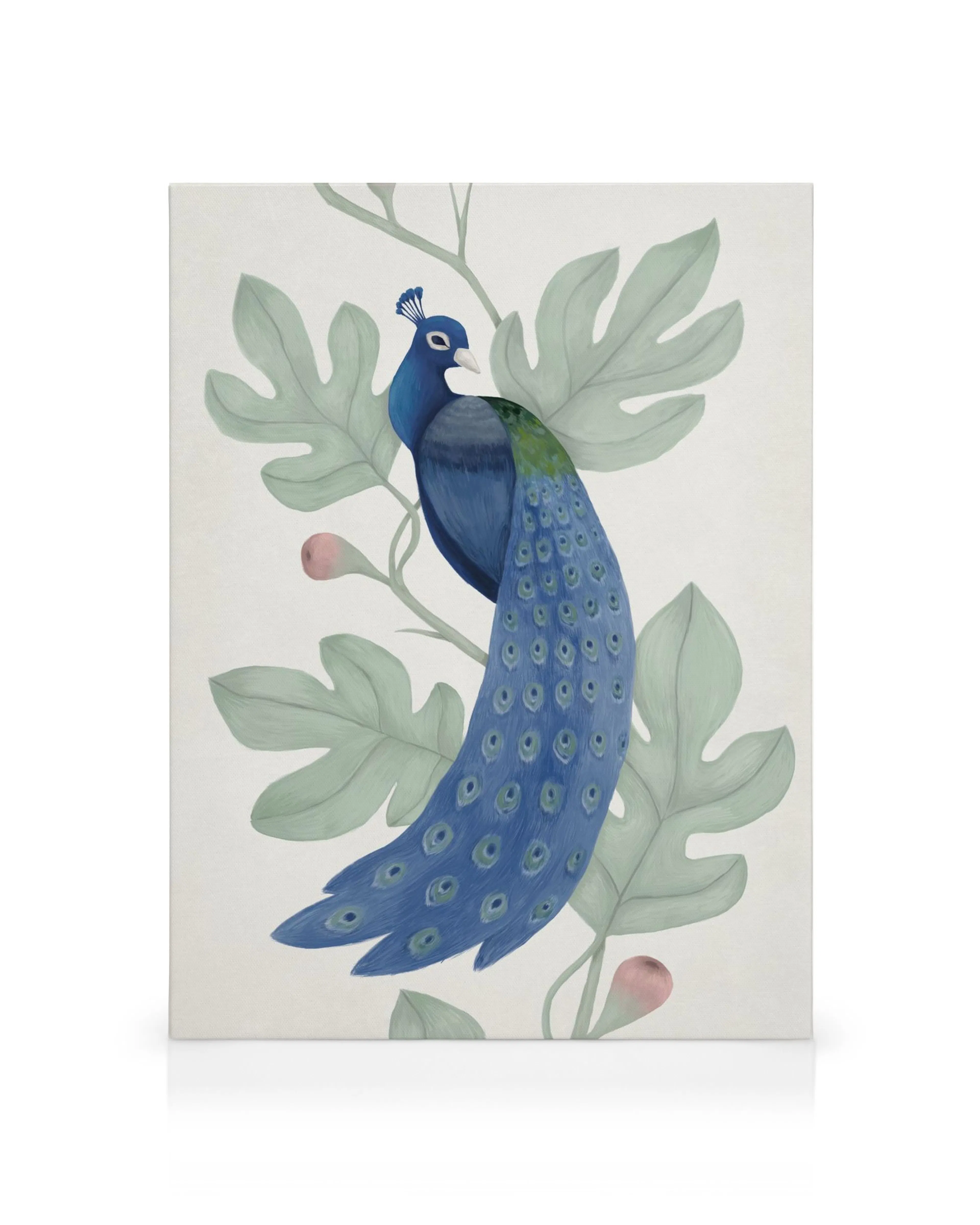 Stampa su tela vintage pavone blu con piume vibranti, appollaiato tra foglie verdi e boccioli rosa. Arte naturale decorativa.