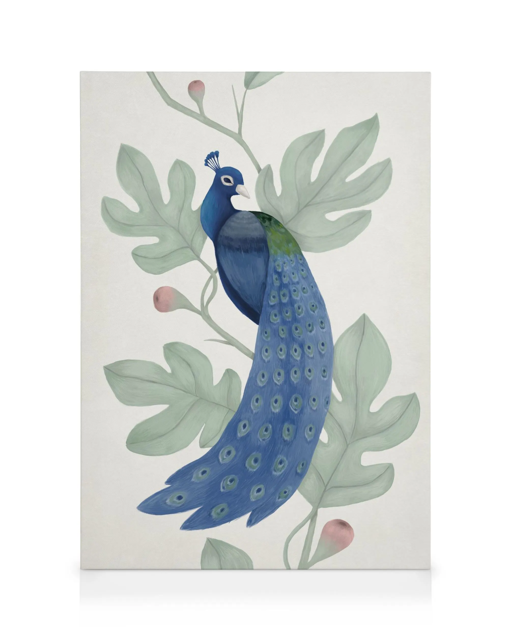 Vintage blue peacock canvas print with lush green leaves and pink berries