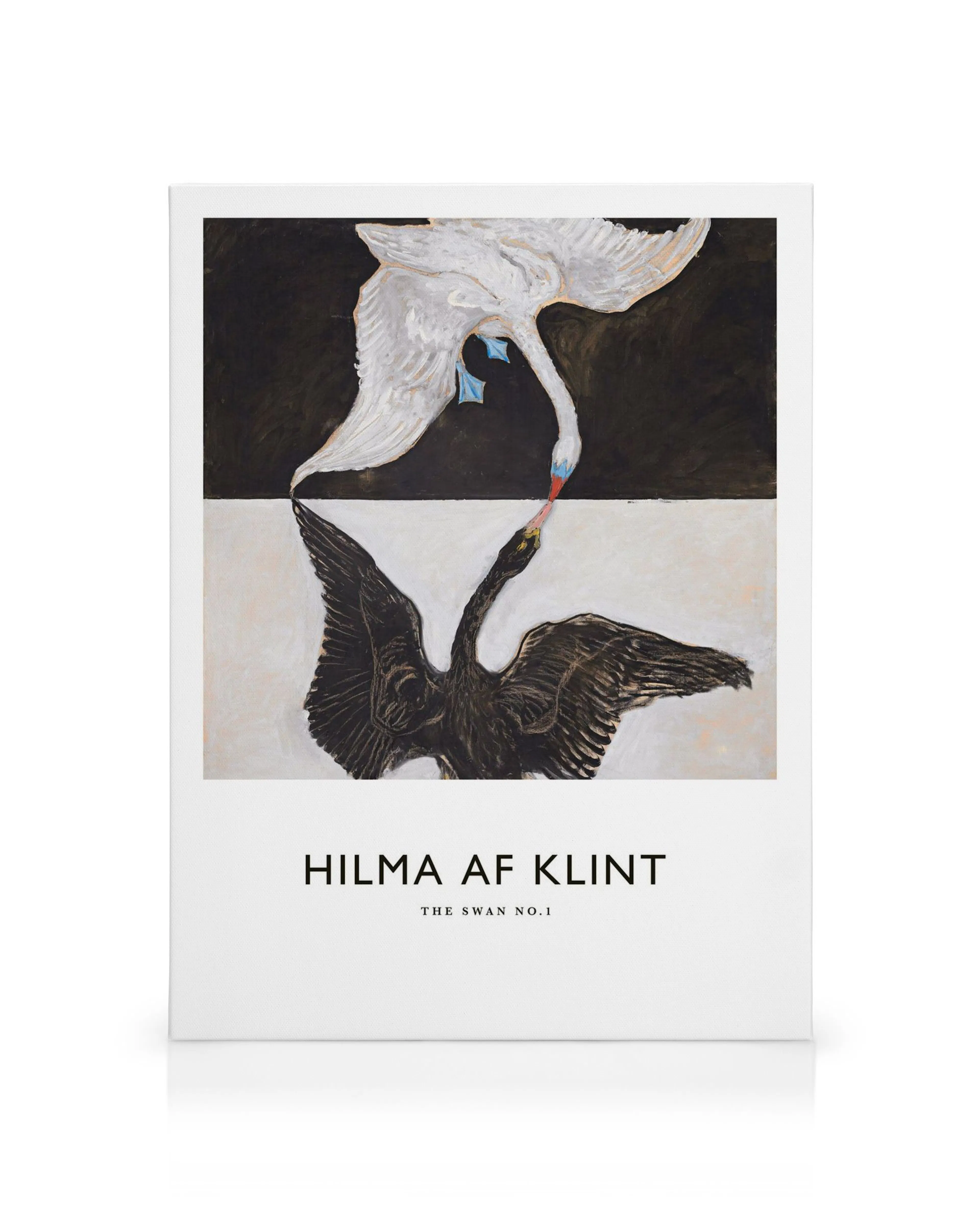 Kanvaasitaulu Hilma af Klintin The Swan, No. 1 teoksesta: mustavalkoinen kuva kahdesta joutsenesta vastakkain.