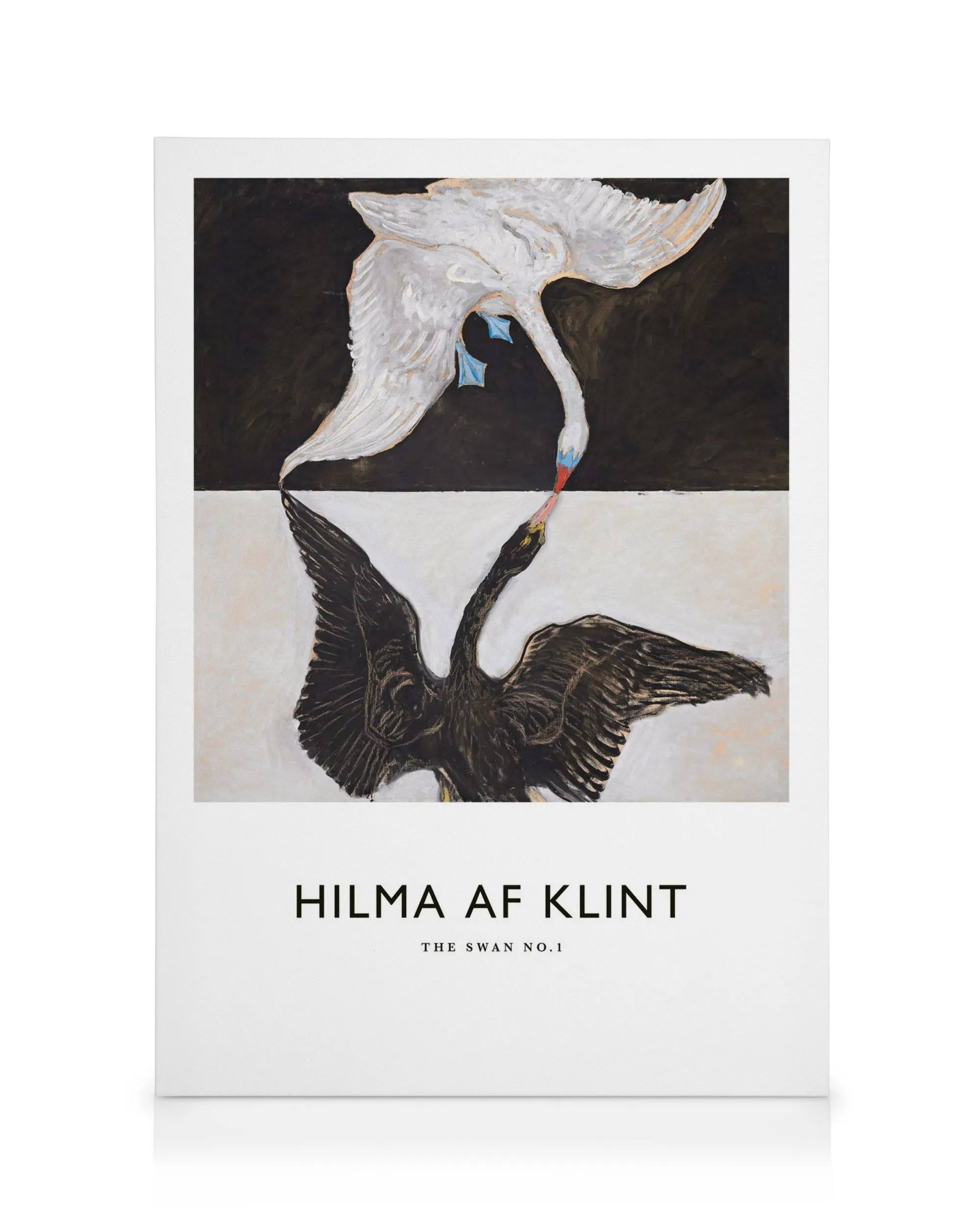 Obraz na plátně Hilma af Klint, The Swan, No. 1, labutě se dotýkají zobáky, bílá labuť nahoře, černá labuť dole.