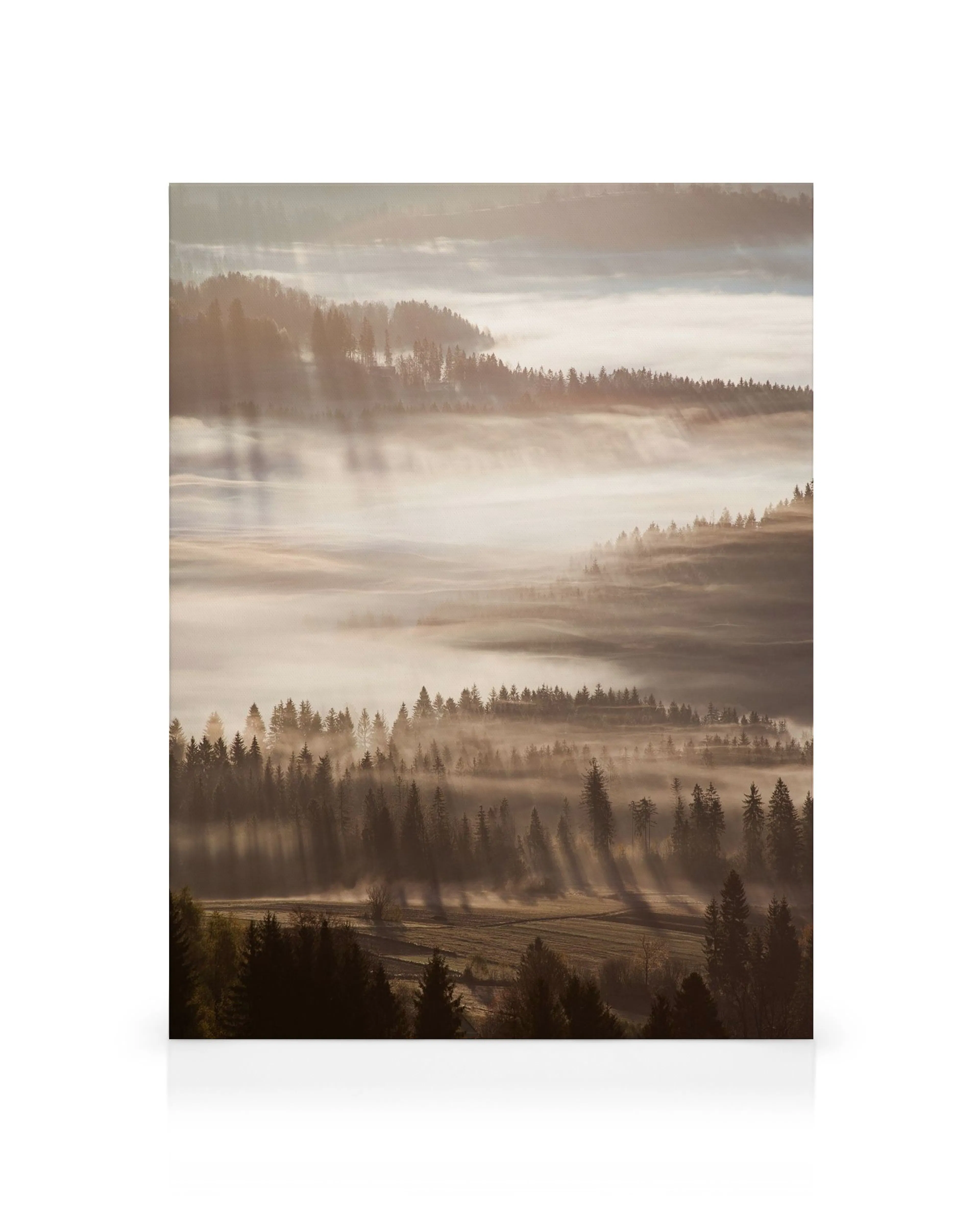 Leinwandbild mit Sonnenstrahlen, die durch Nebel über einem Nadelwald und Hügeln in warmen Erdtönen scheinen.