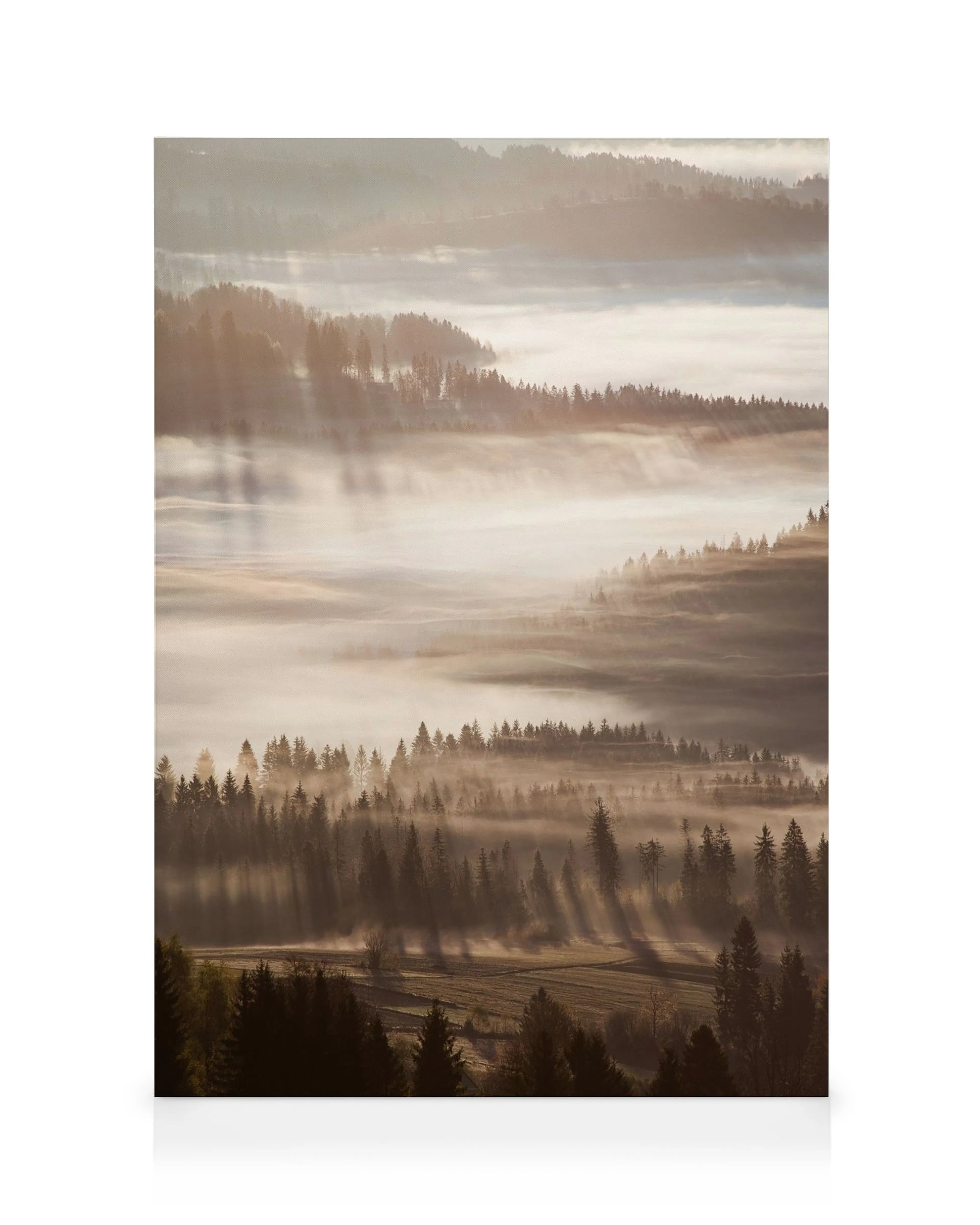 Misty forest landscape canvas print with sun rays filtering through trees, in warm yellow, brown and green tones.
