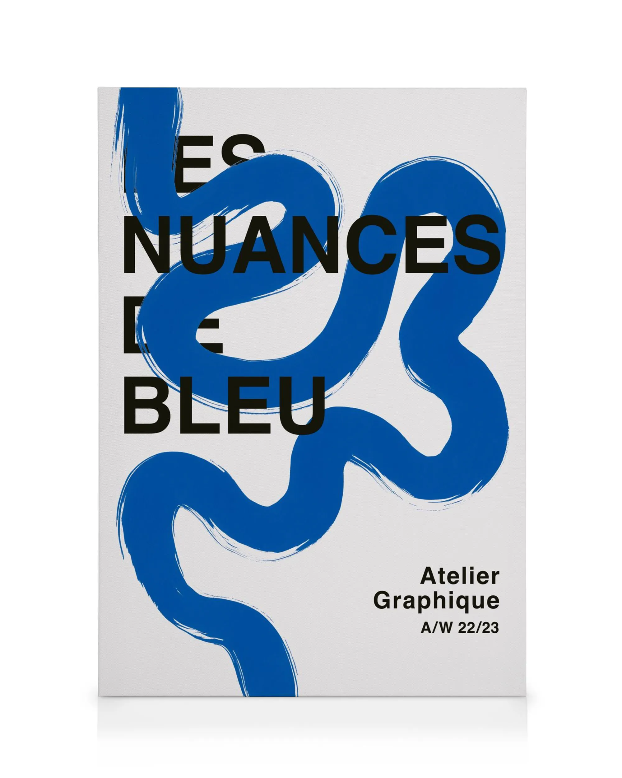 Leinwand mit blauer, geschwungener Linie und schwarzem Text Les Nuances De Bleu auf weissem Hintergrund.