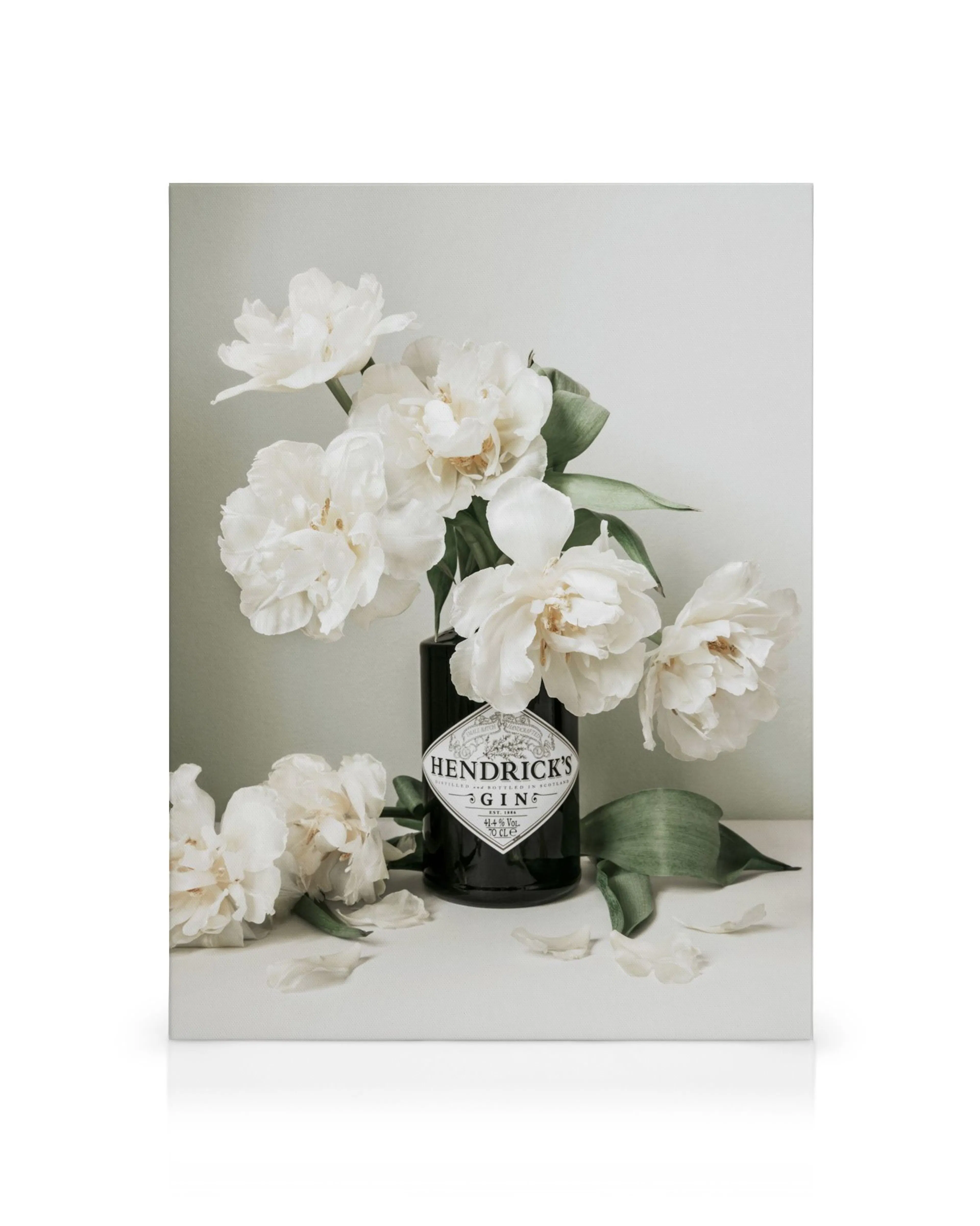 Tela decorativa com uma garrafa de gin Hendricks preta rodeada por peónias brancas e pétalas espalhadas.