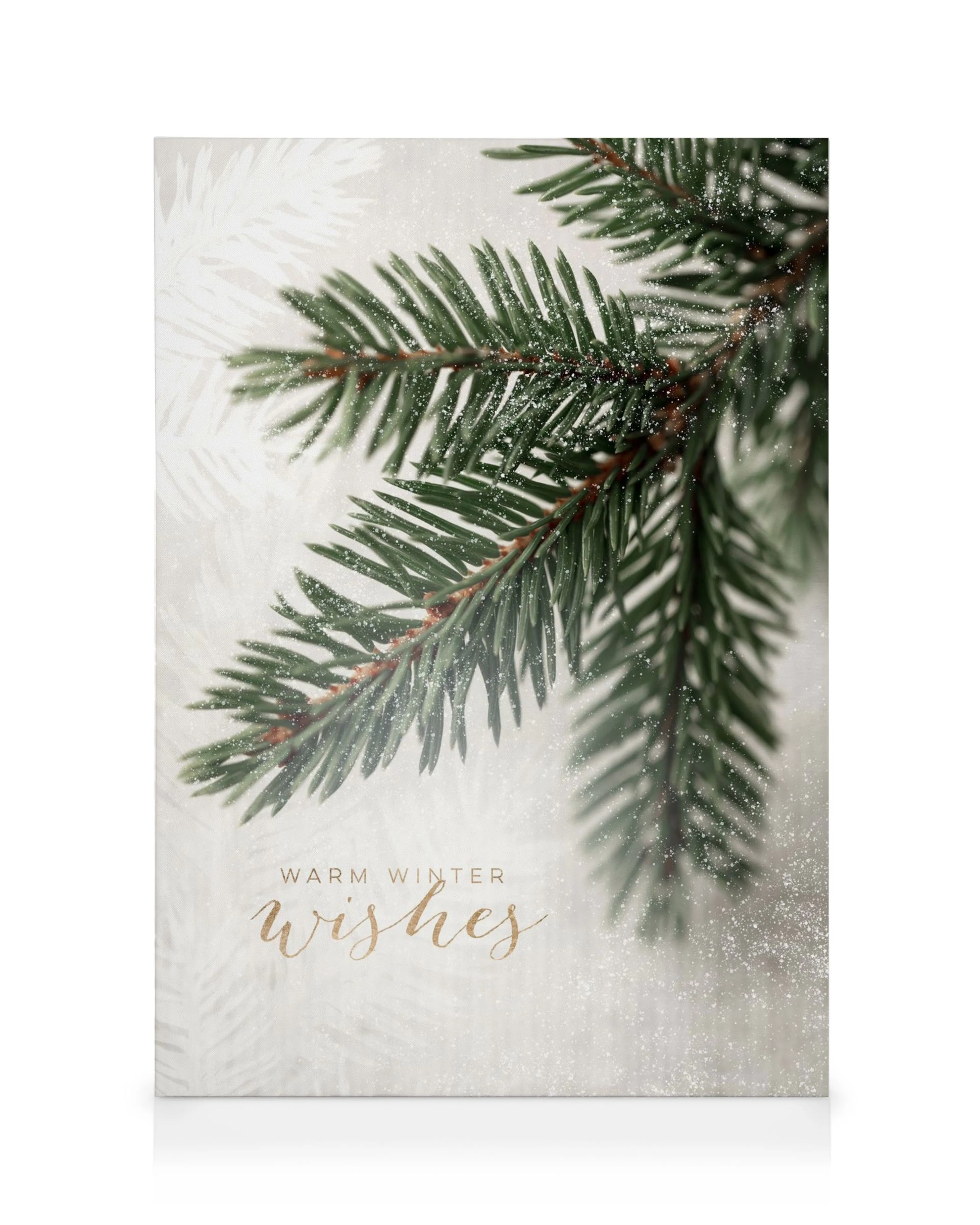 Spruce Branch Canvas print with frosted green pine needles, snow-dusted branches, and Warm Winter Wishes text.