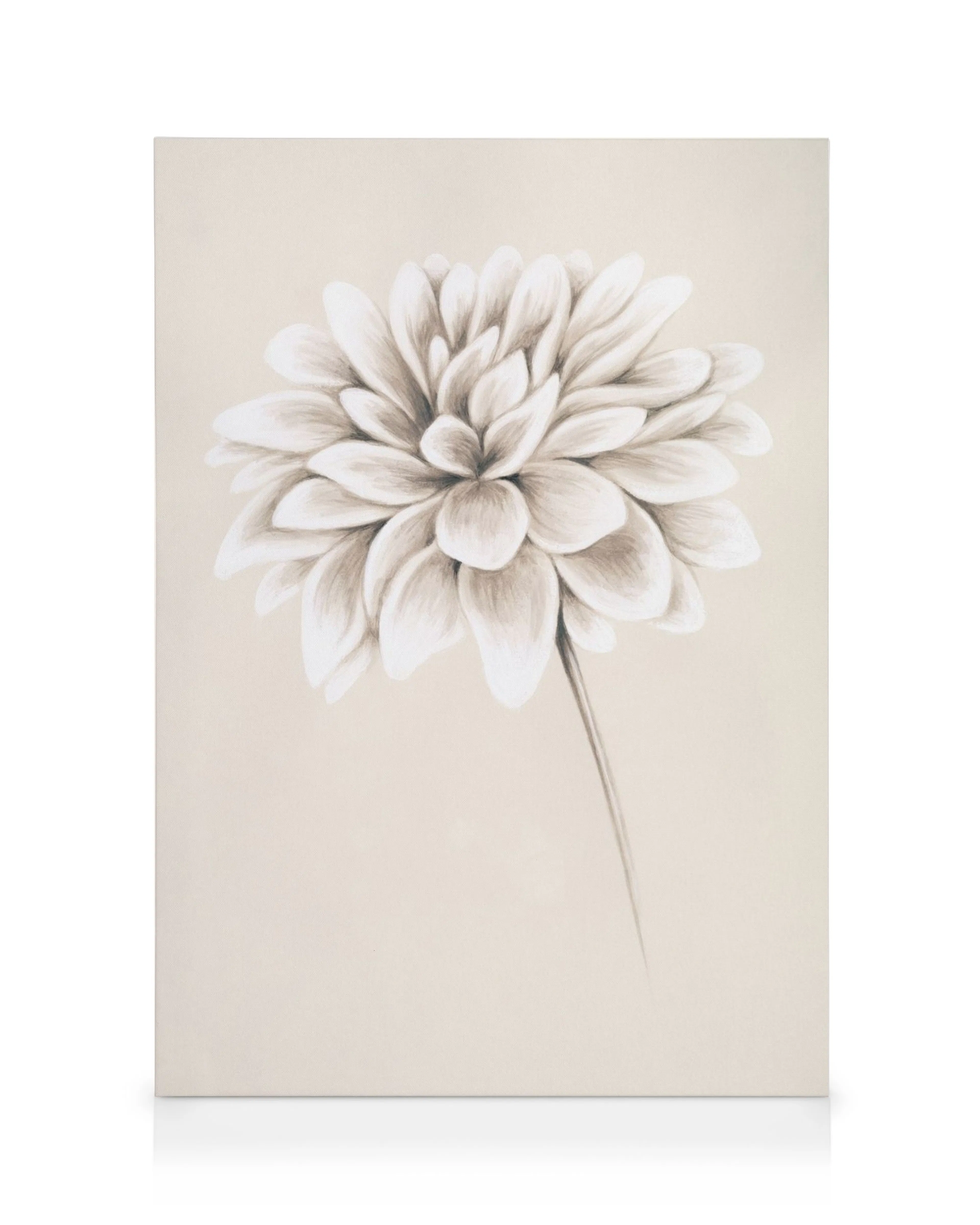 Tela decorativa com ilustração de dália em camadas, tons de branco e cinza sobre fundo bege claro.