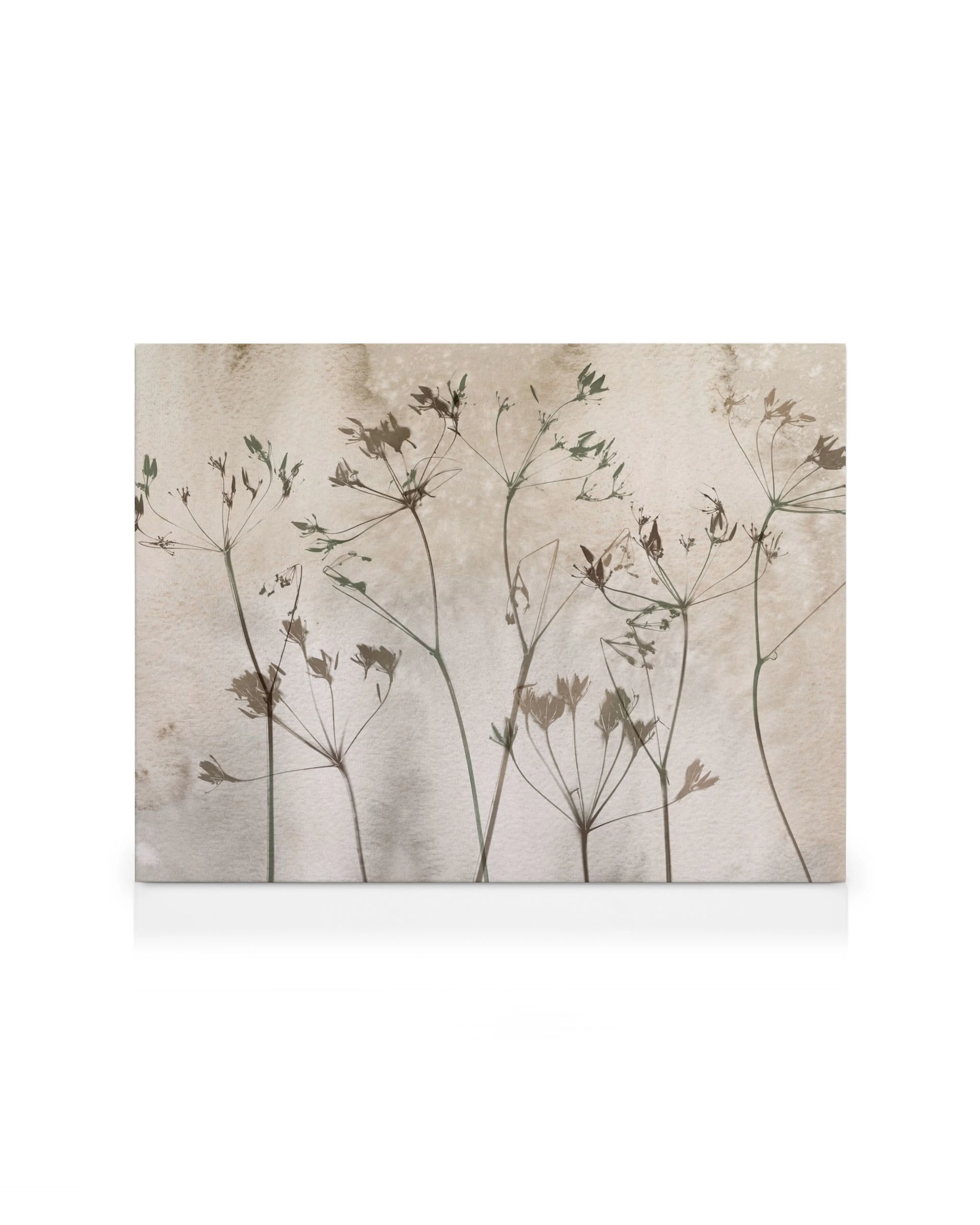 Stampa su tela con steli botanici essiccati su sfondo beige, arte murale floreale elegante.